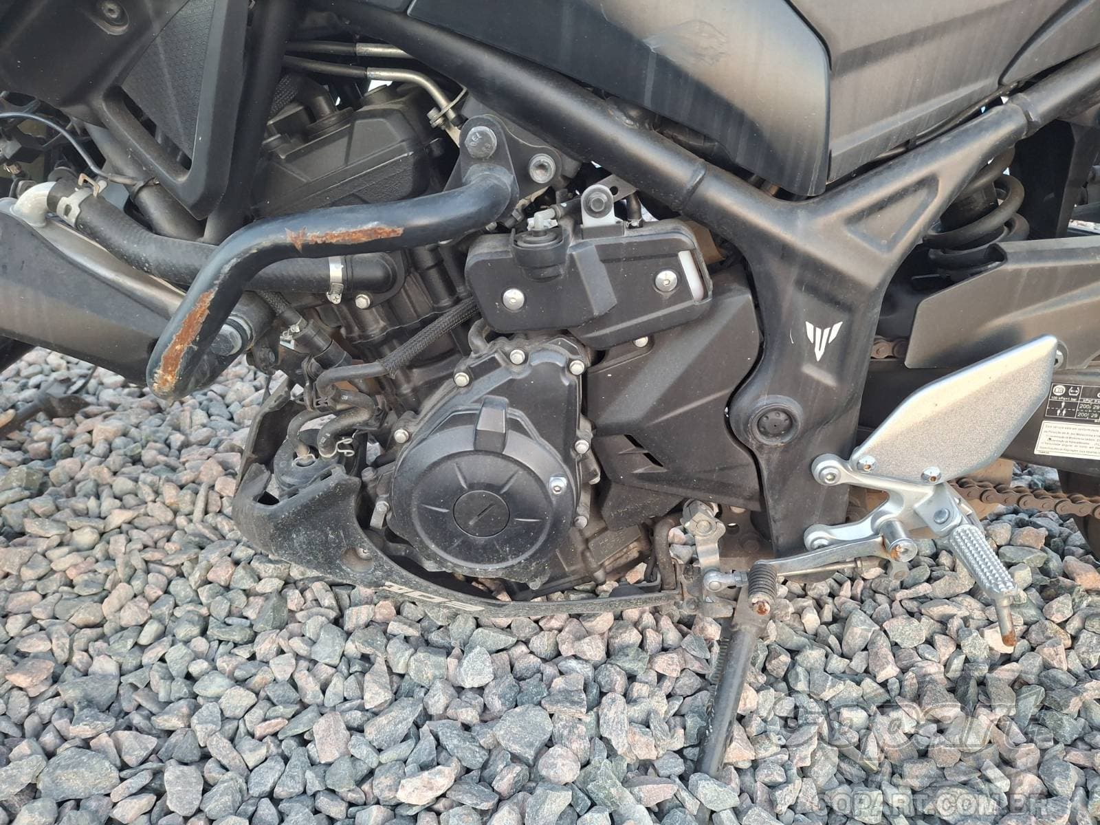 Yamaha Mt-03 2024 — foto 6
