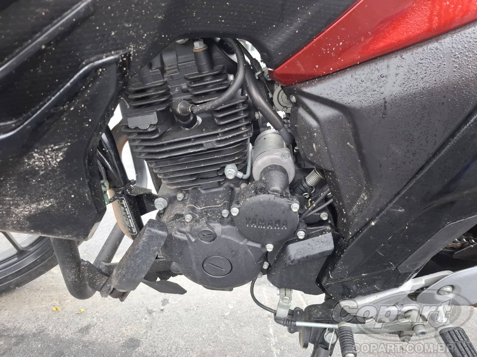 Yamaha Fz25 Fazer 2024 — foto 6