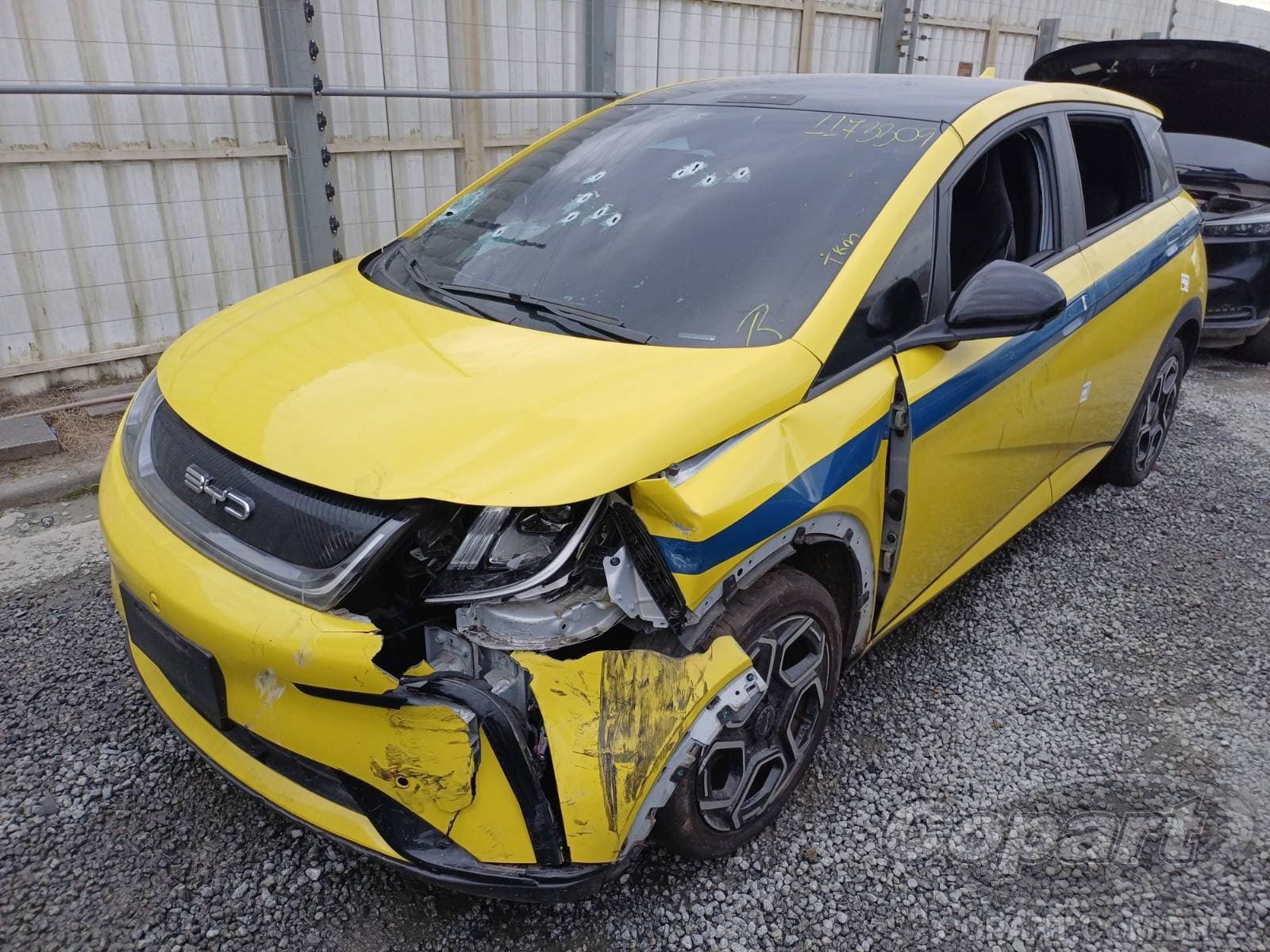 BYD Dolphin 2025 — foto 2