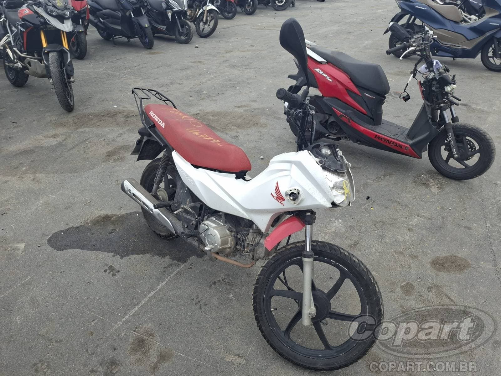 Honda POP 2022