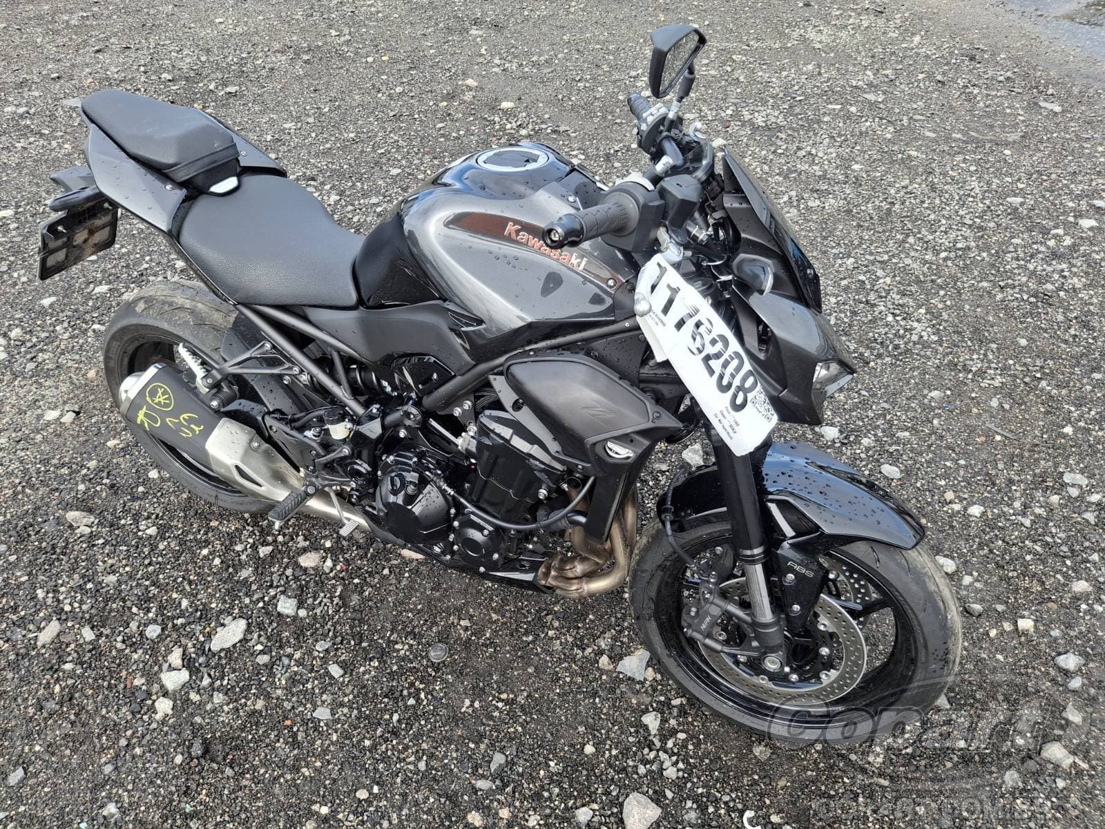 Kawasaki Z900 2026