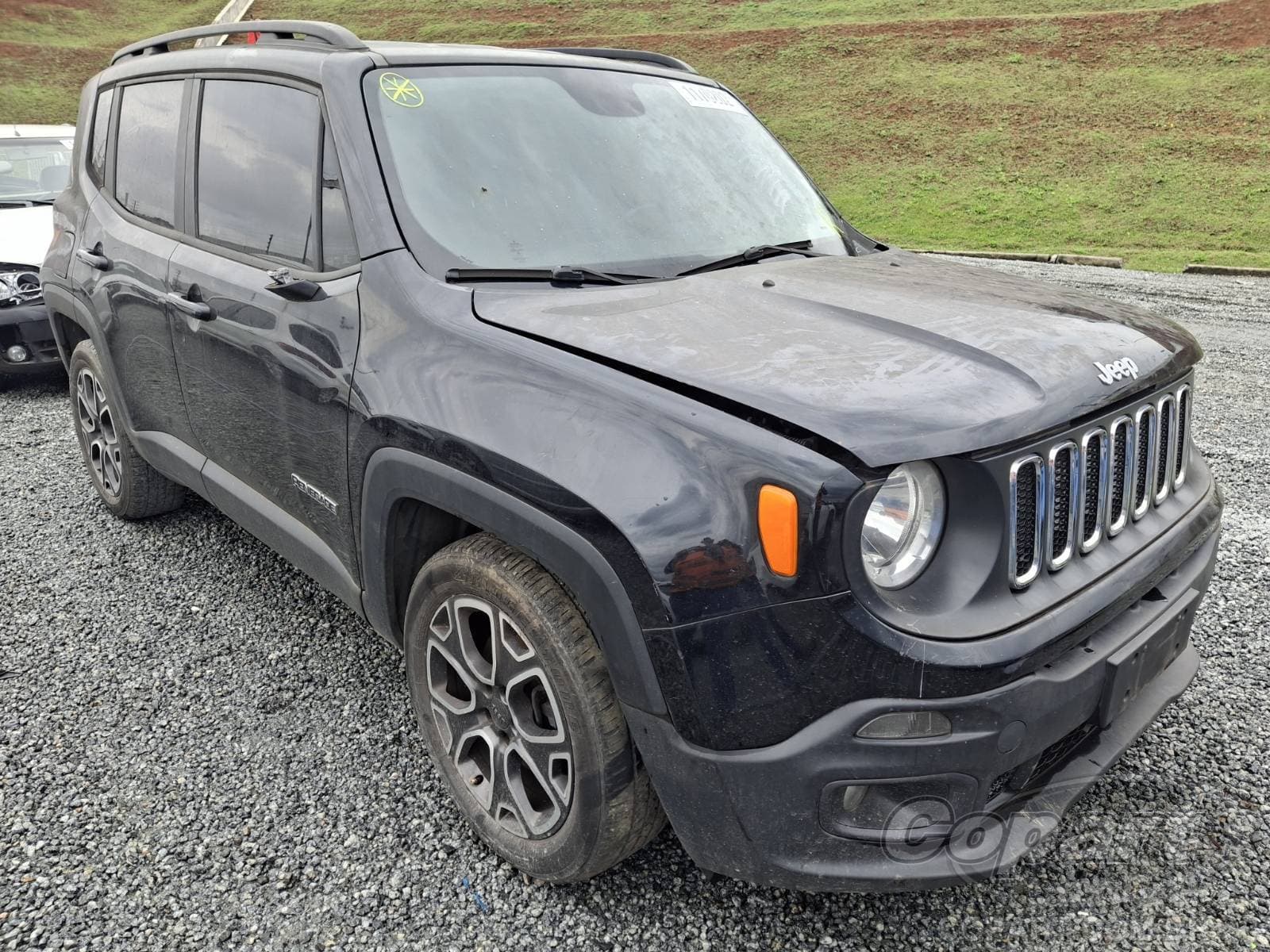 Jeep Renegade 1.8 16V E.TORQ EVO 2018