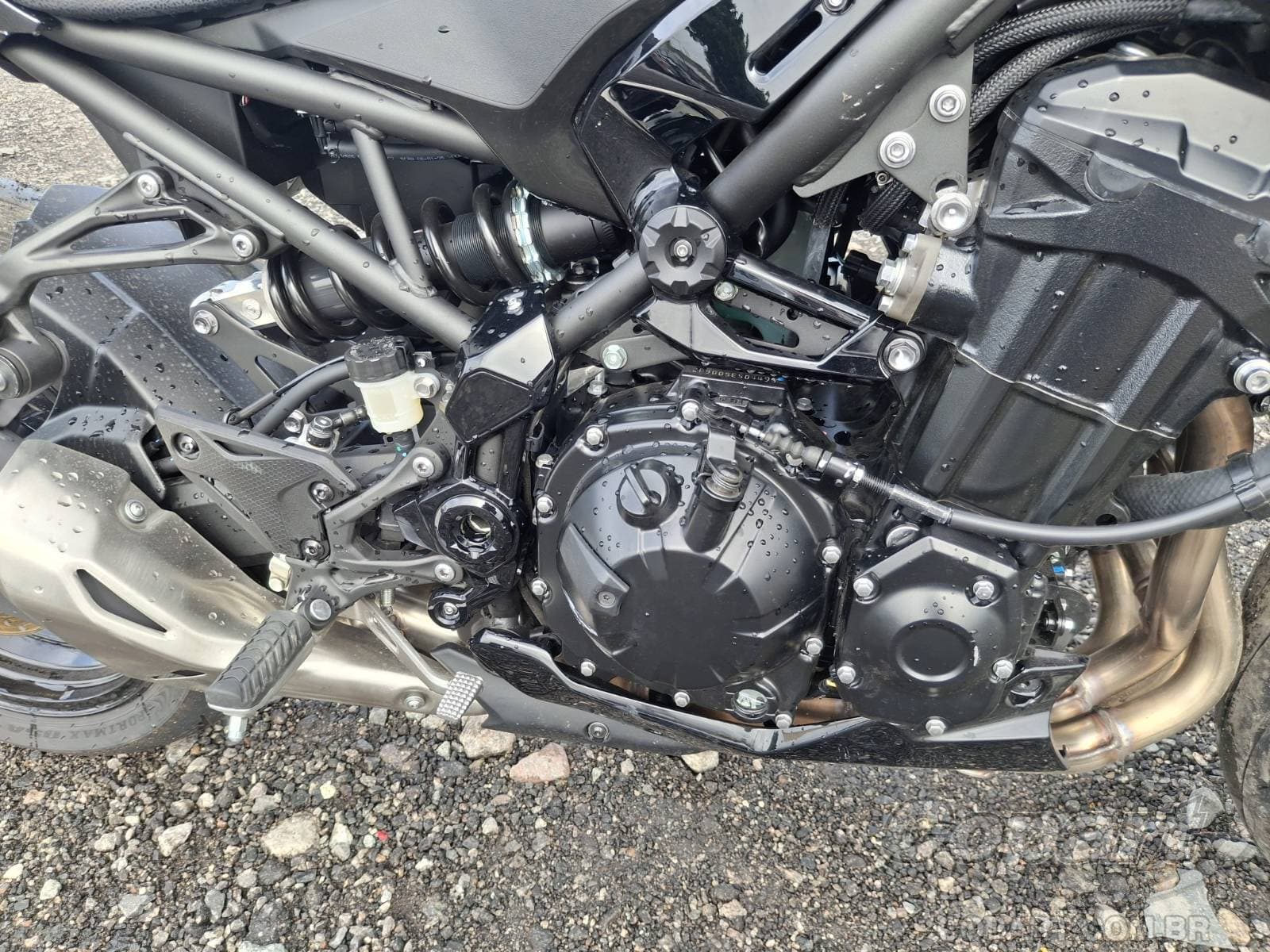Kawasaki Z900 2026 — foto 5