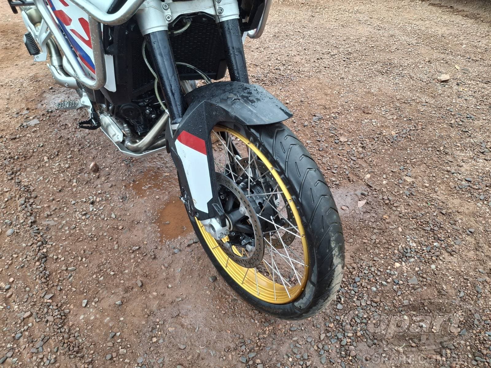 BMW F 900 2025 — foto 8