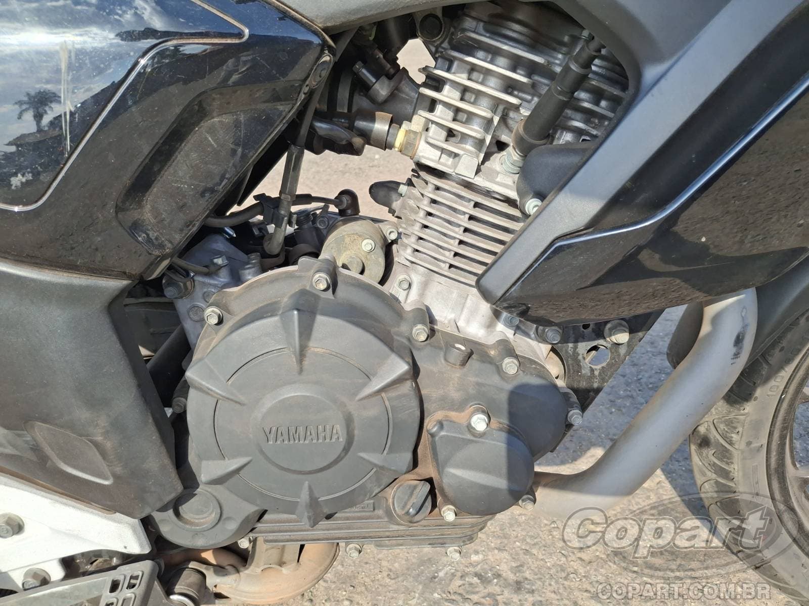 Yamaha Fz15 2024 — foto 6