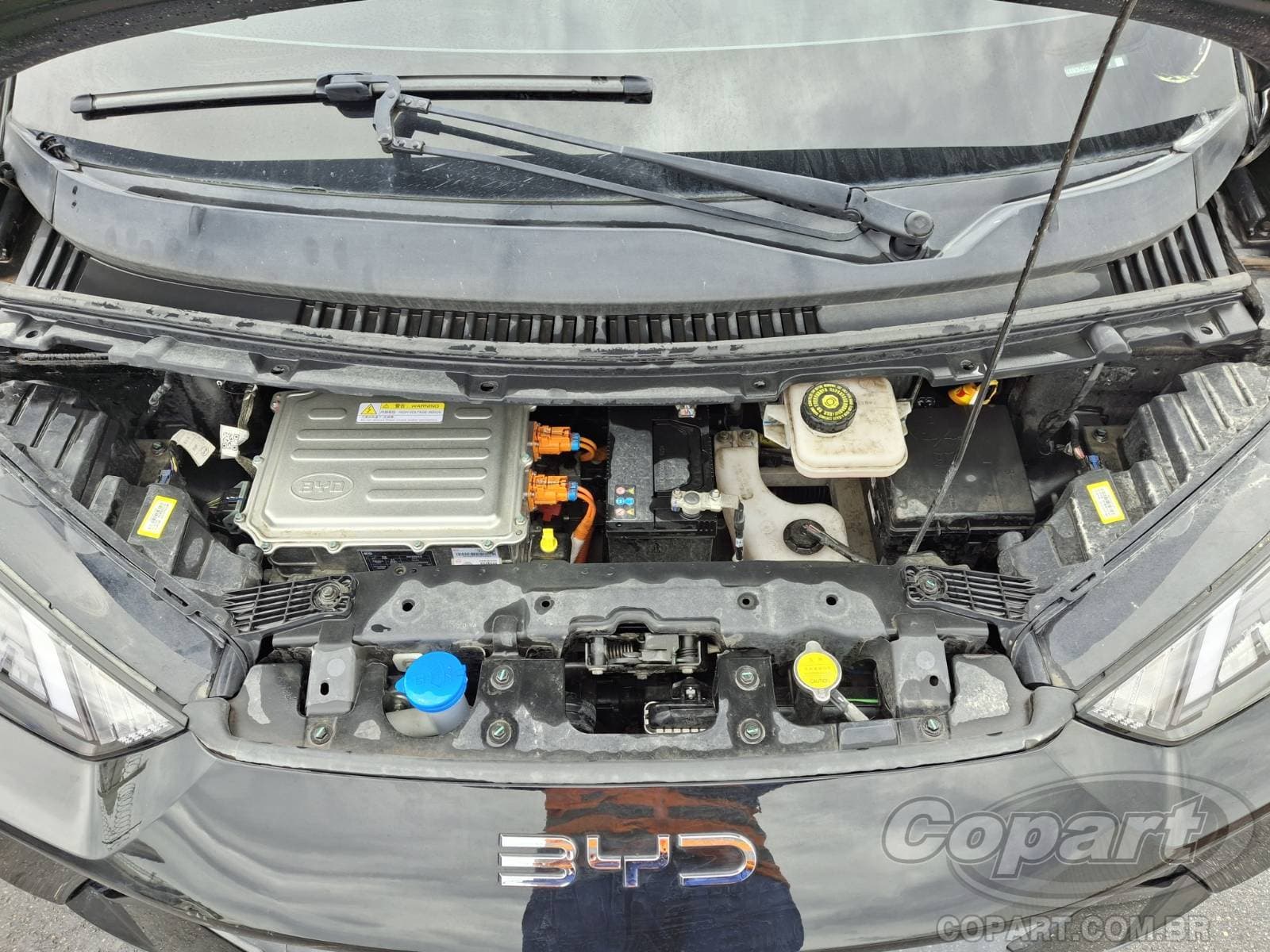 BYD Dolphin Mini 2025 — foto 7