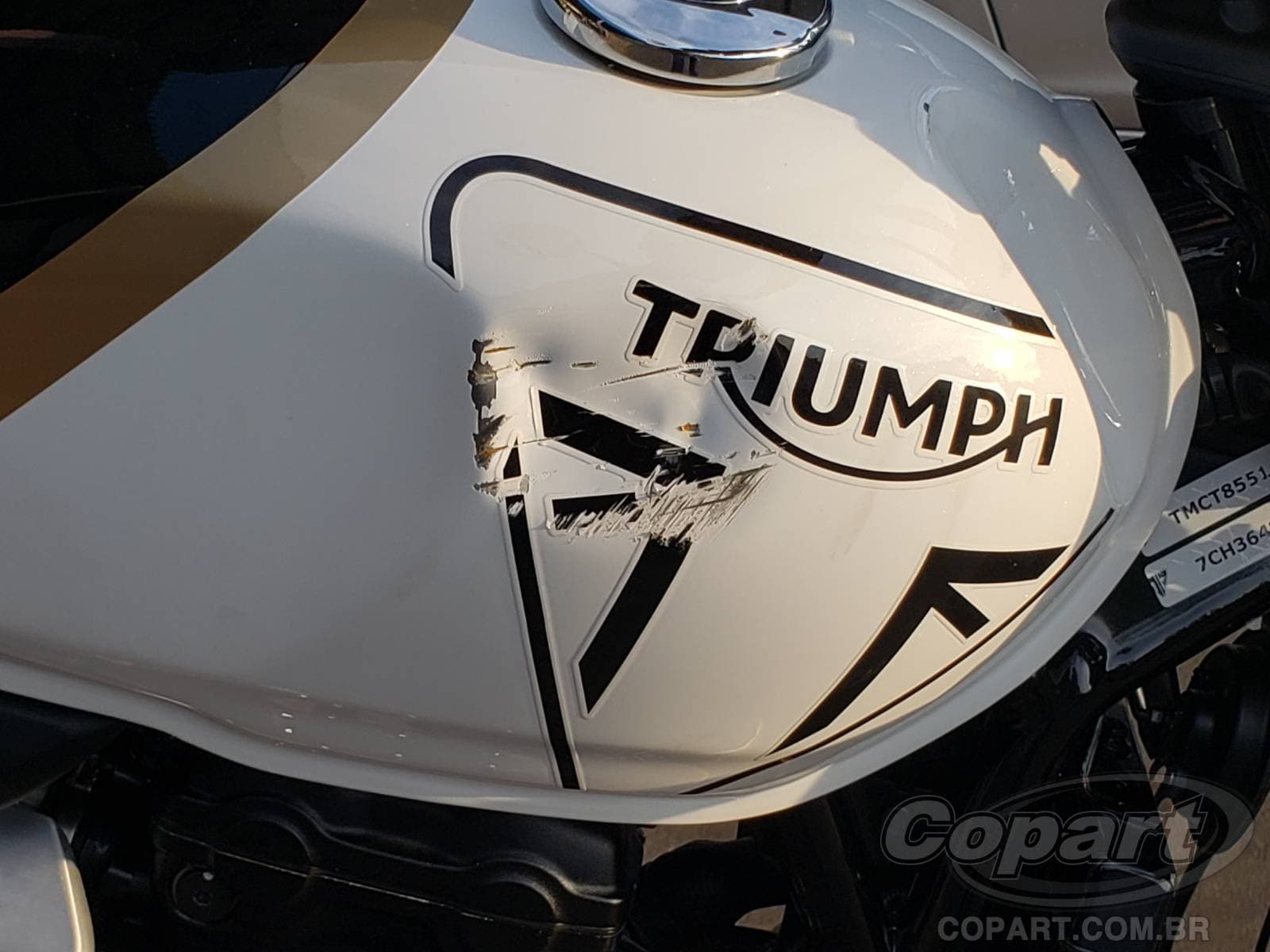 Triumph Speed 2026 — foto 12
