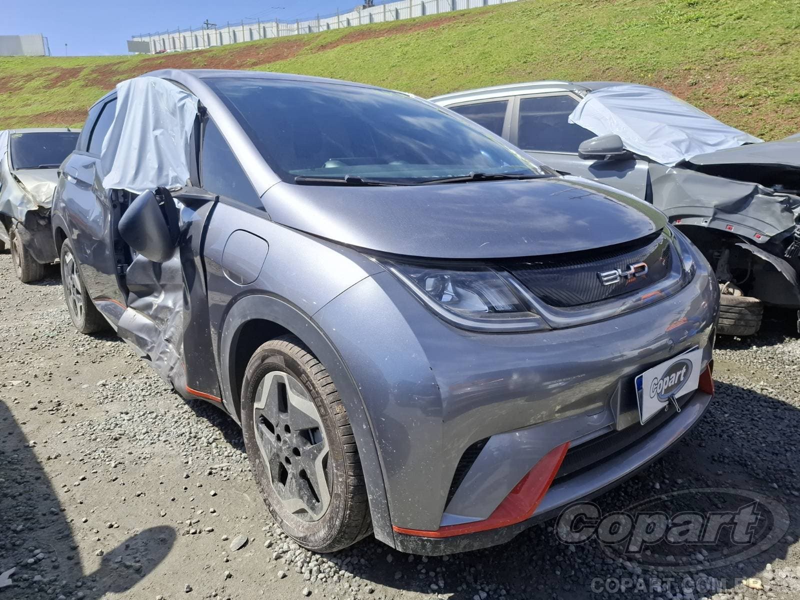 BYD Dolphin 70 KW 2024