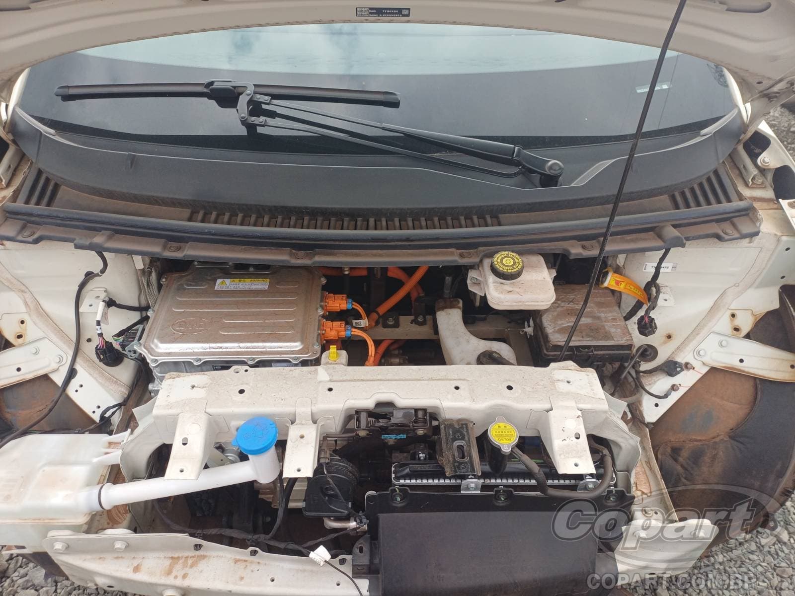 BYD Dolphin Mini 2026 — foto 7