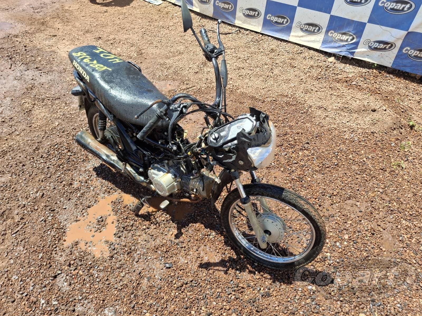 Honda POP 2021