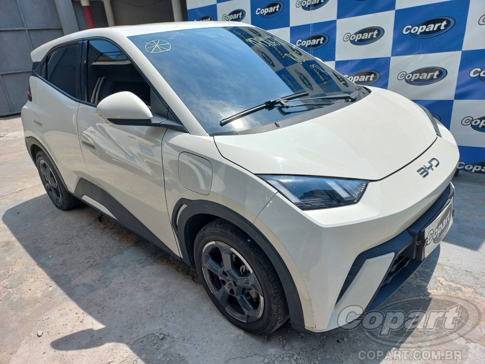 BYD Dolphin Mini 55 KW 2025