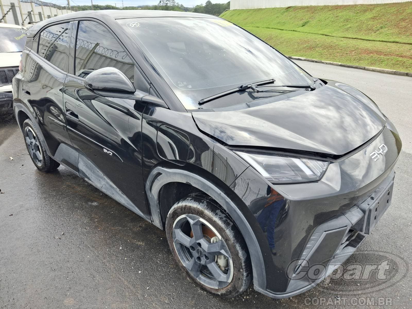 BYD Dolphin Mini 55 KW 2025