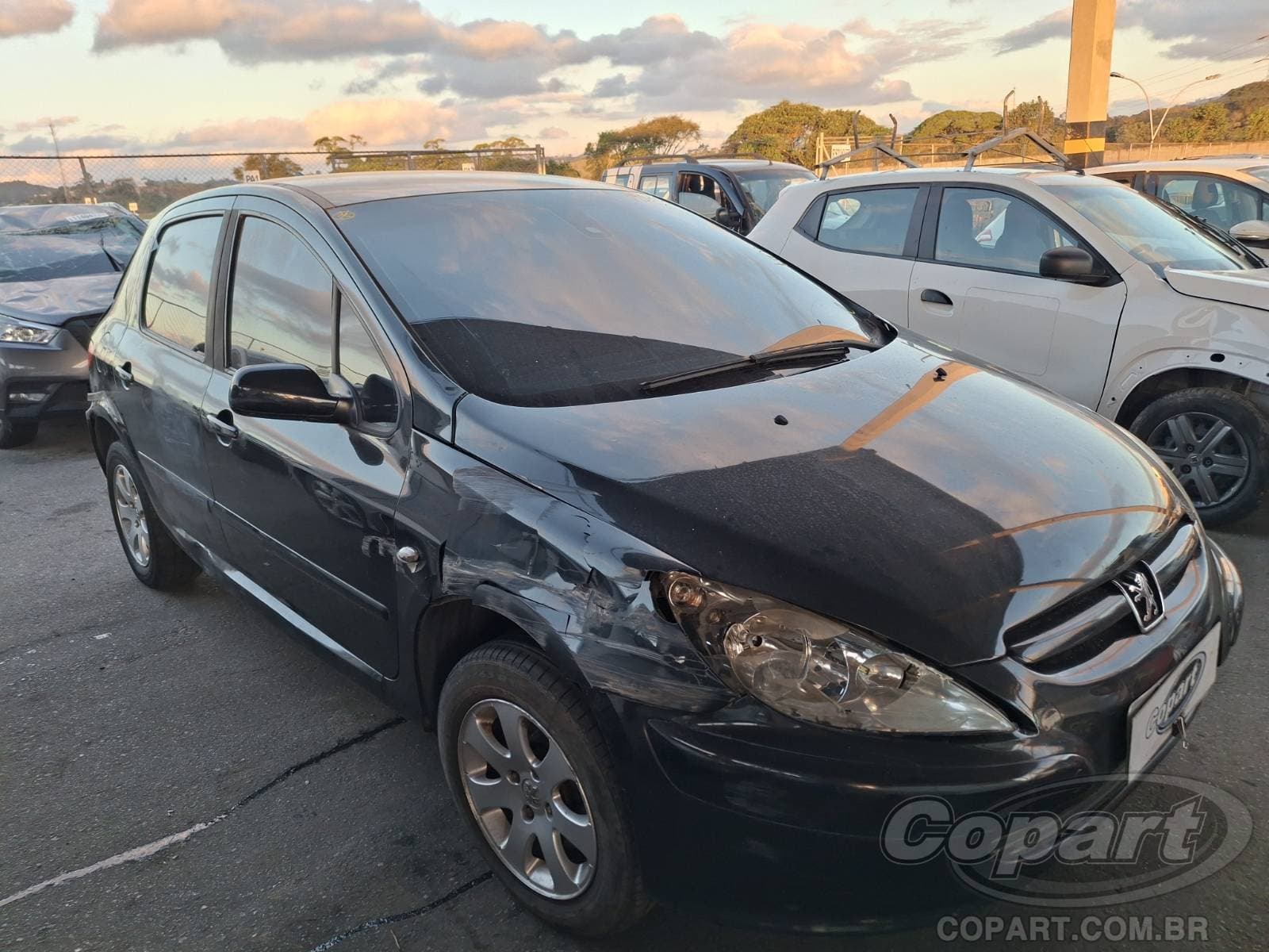Peugeot 307 2.0 16V 2006