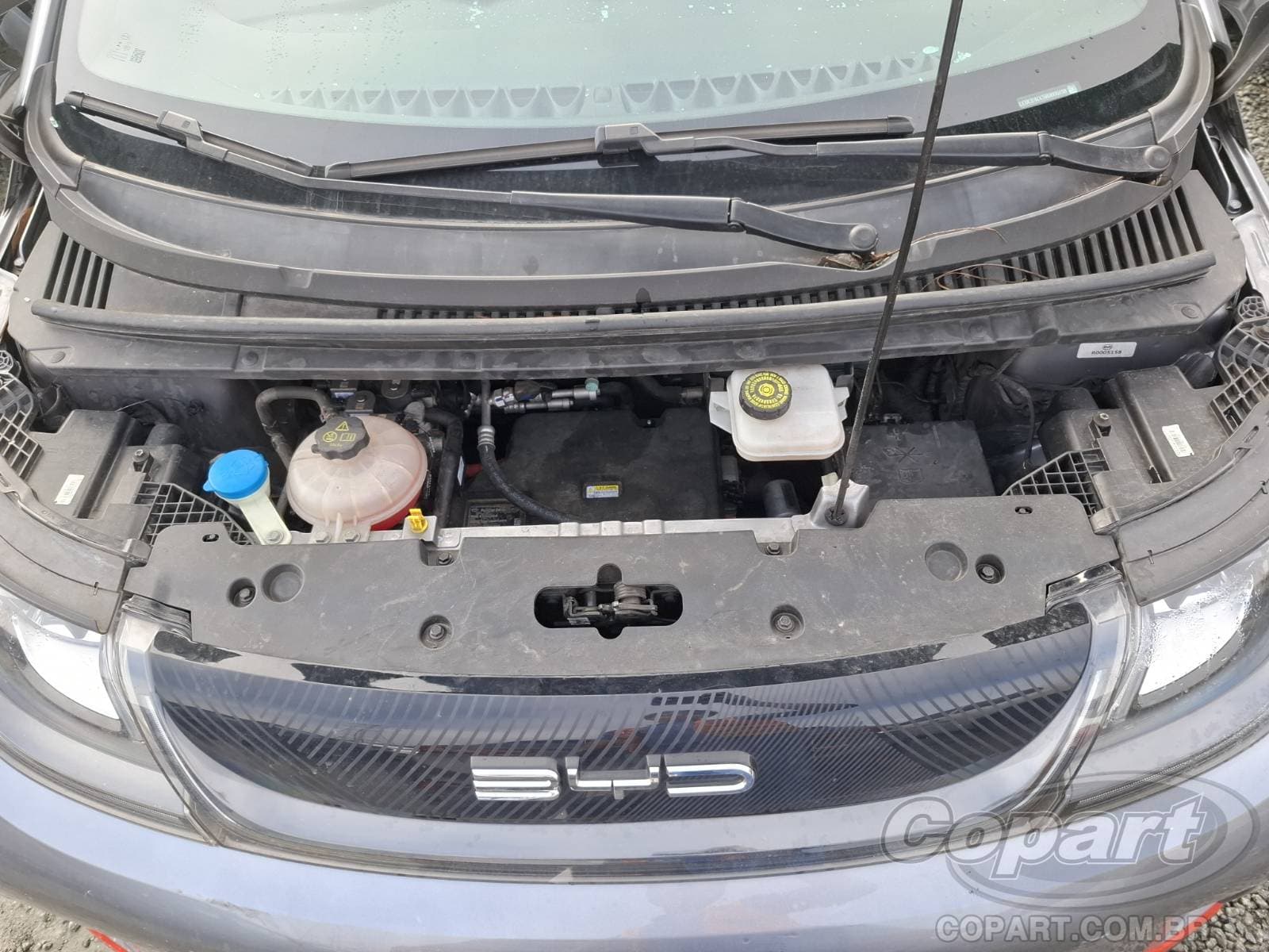 BYD Dolphin 2024 — foto 7