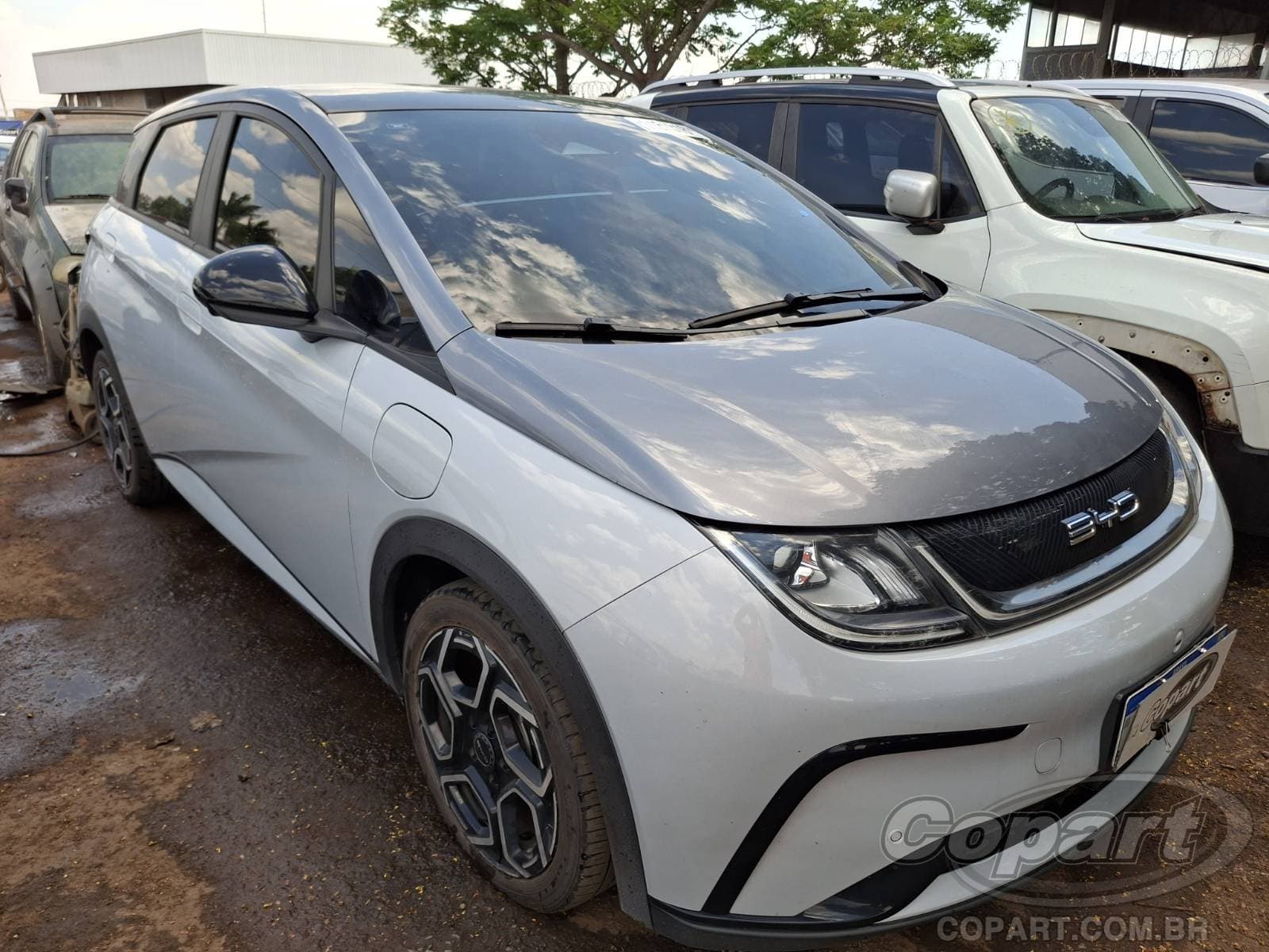 BYD Dolphin 150 KW 2024