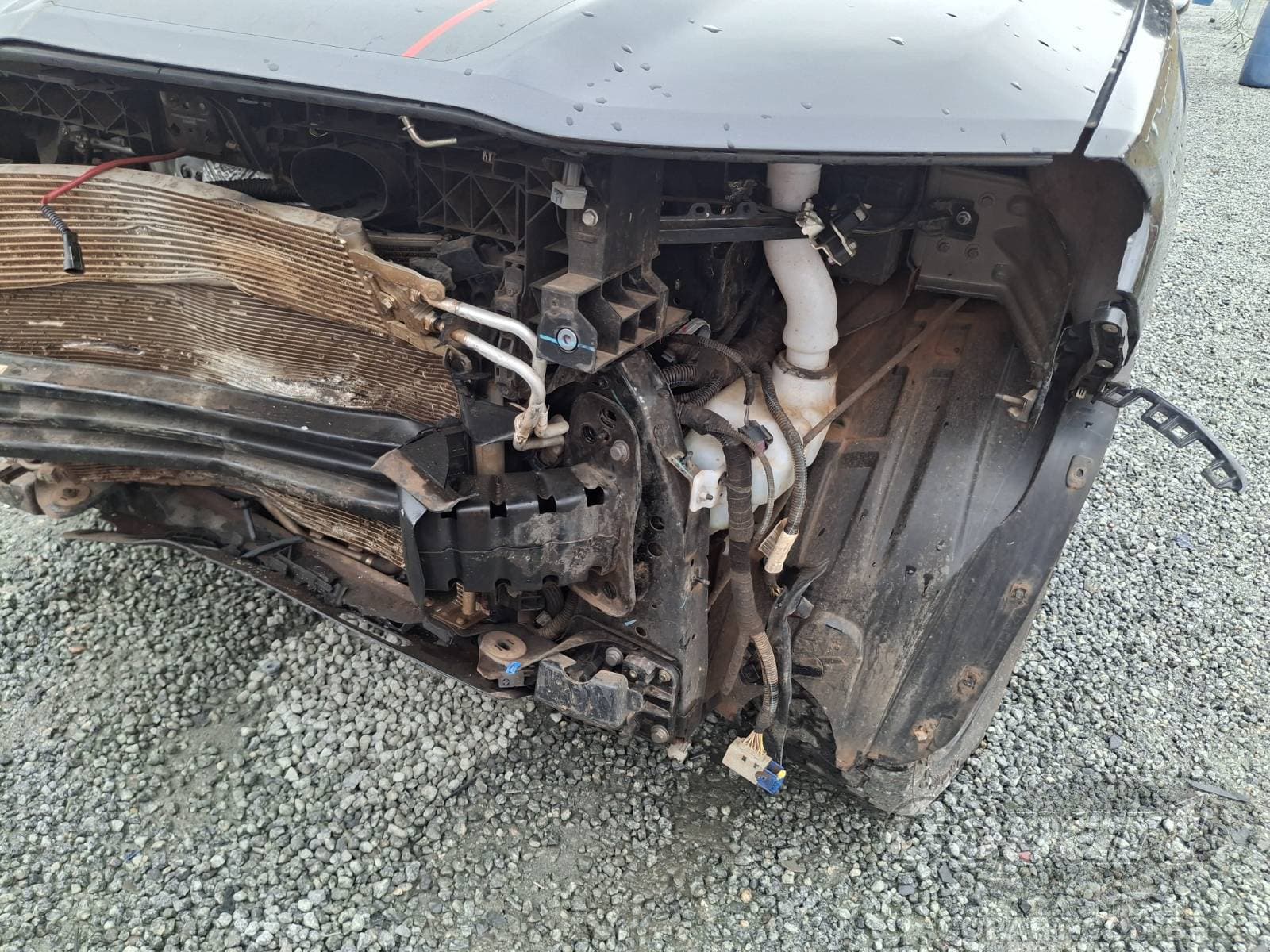 RAM Rampage 2024 — foto 12