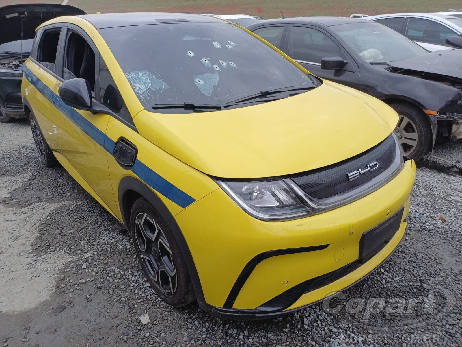 BYD Dolphin 150 KW 2025