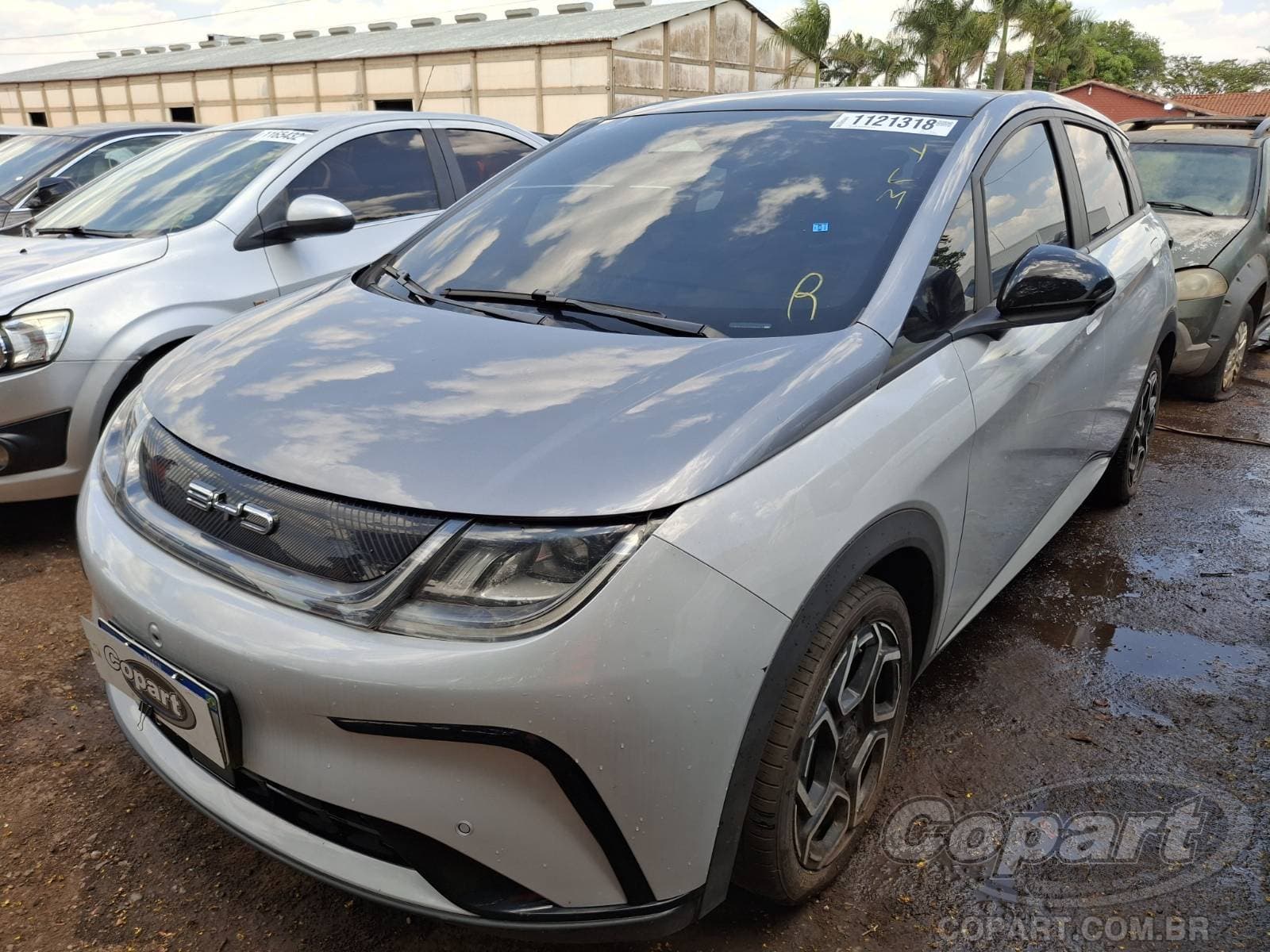 BYD Dolphin 2024 — foto 2