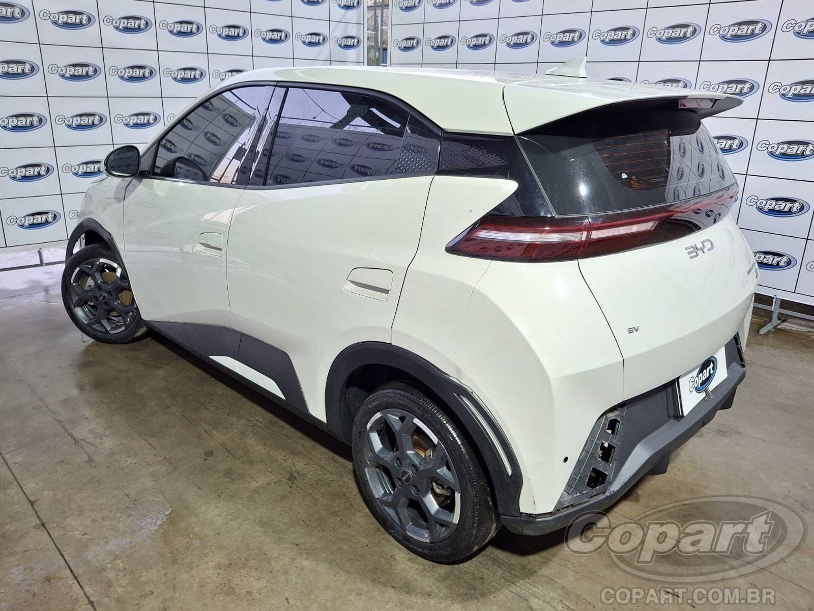 BYD Dolphin Mini 2026 — foto 3