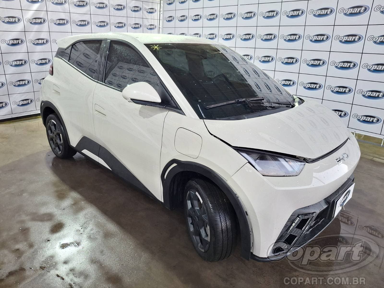 BYD Dolphin Mini 55 KW 2026