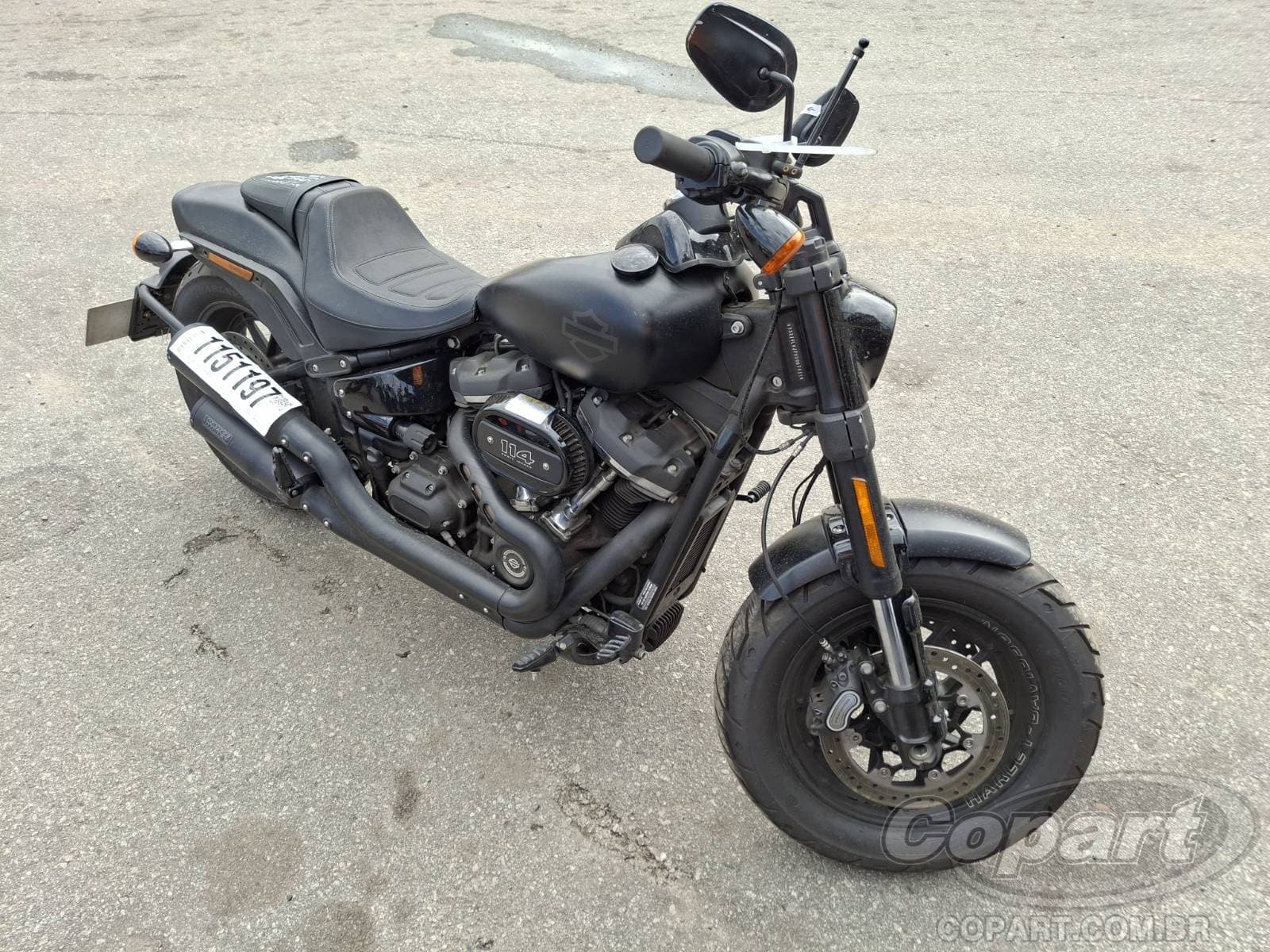Harley-Davidson Softail 2019
