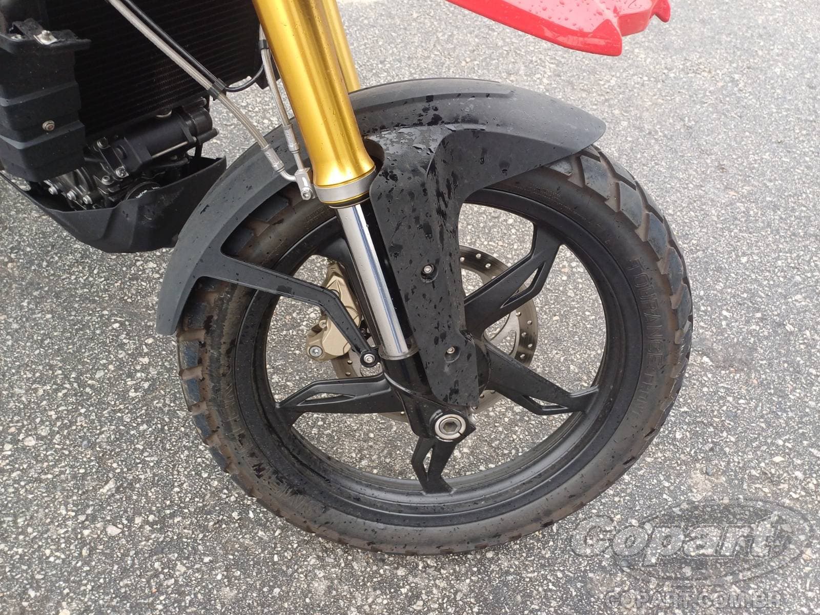BMW G 310 2024 — foto 8