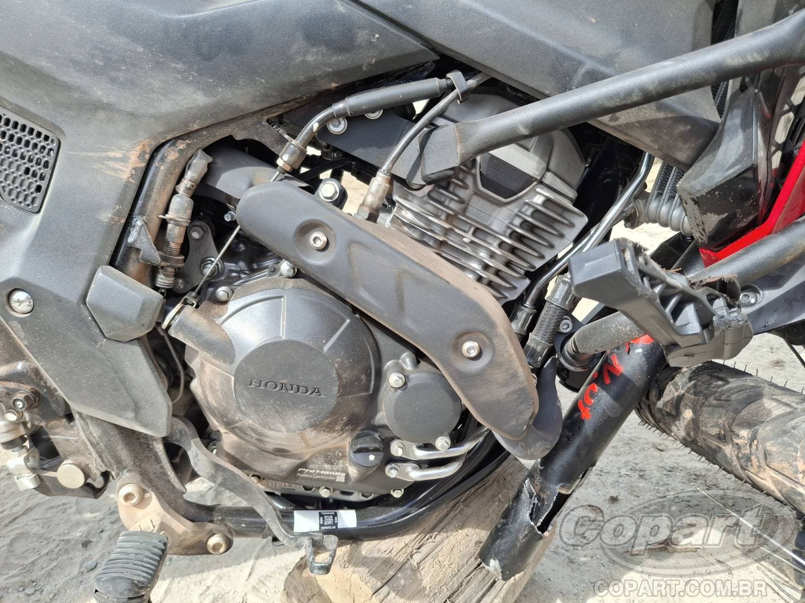 Honda XRE Sahara 300 2026 — foto 5
