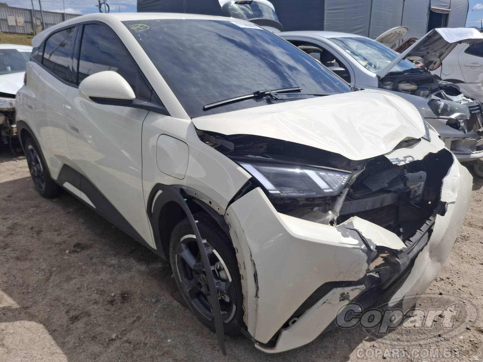 BYD Dolphin Mini 55 KW 2025