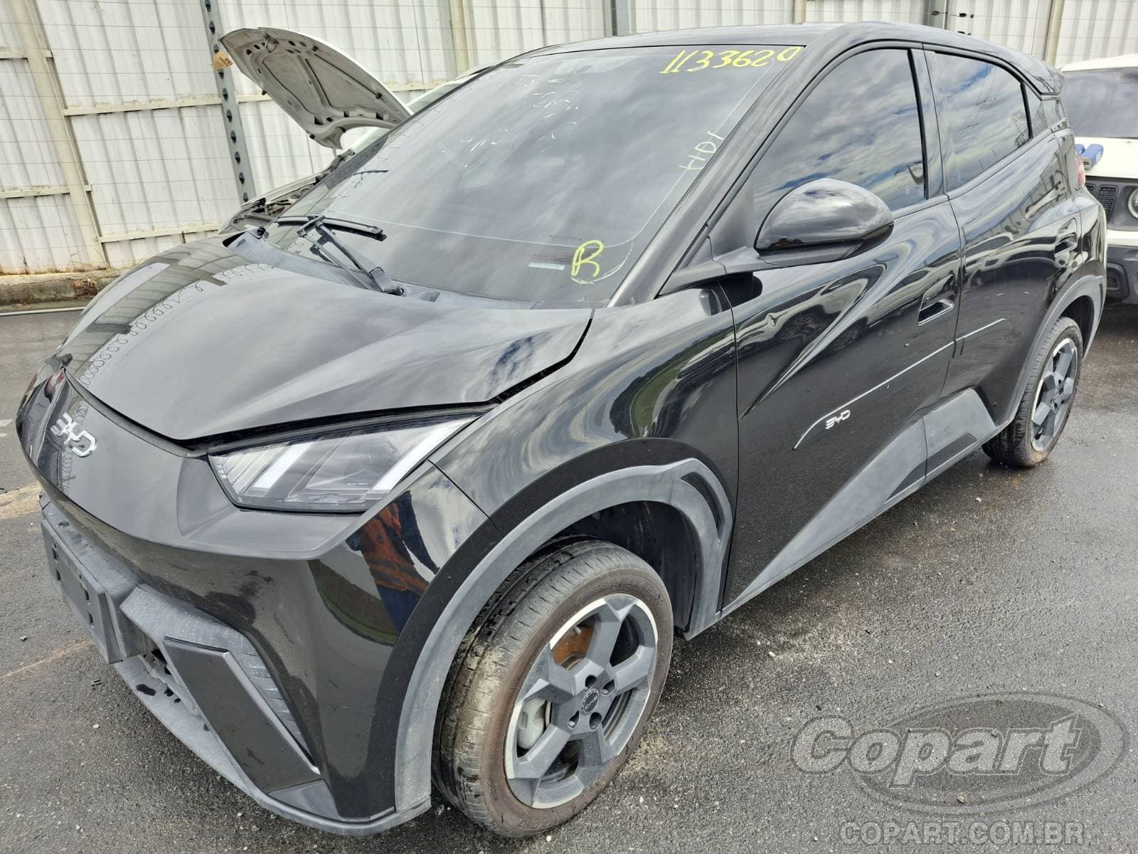BYD Dolphin Mini 2025 — foto 2