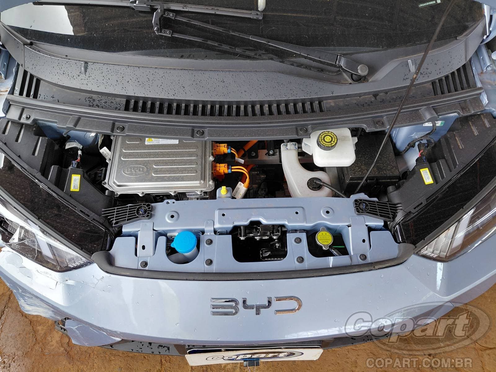 BYD Dolphin Mini 2027 — foto 7