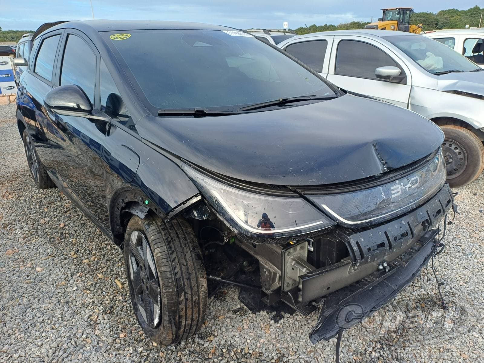BYD Dolphin 130 KW 2027