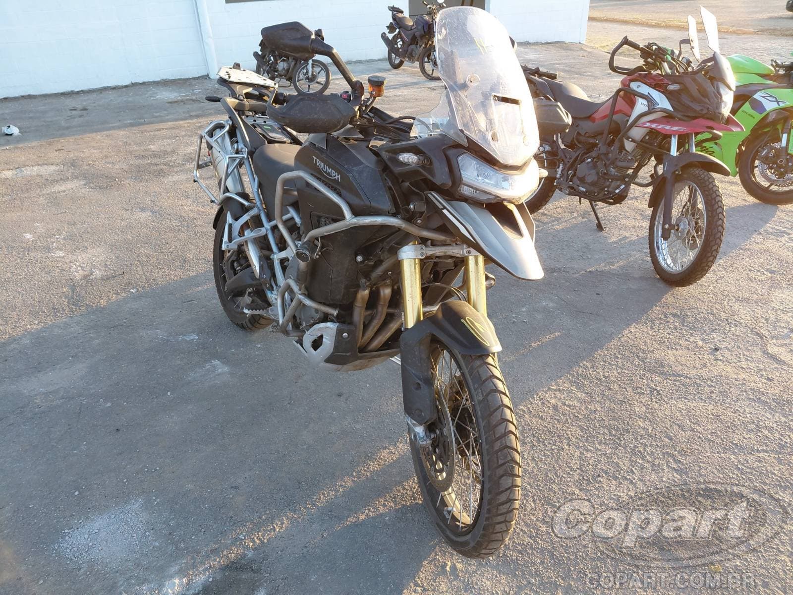 Triumph Tiger 2026