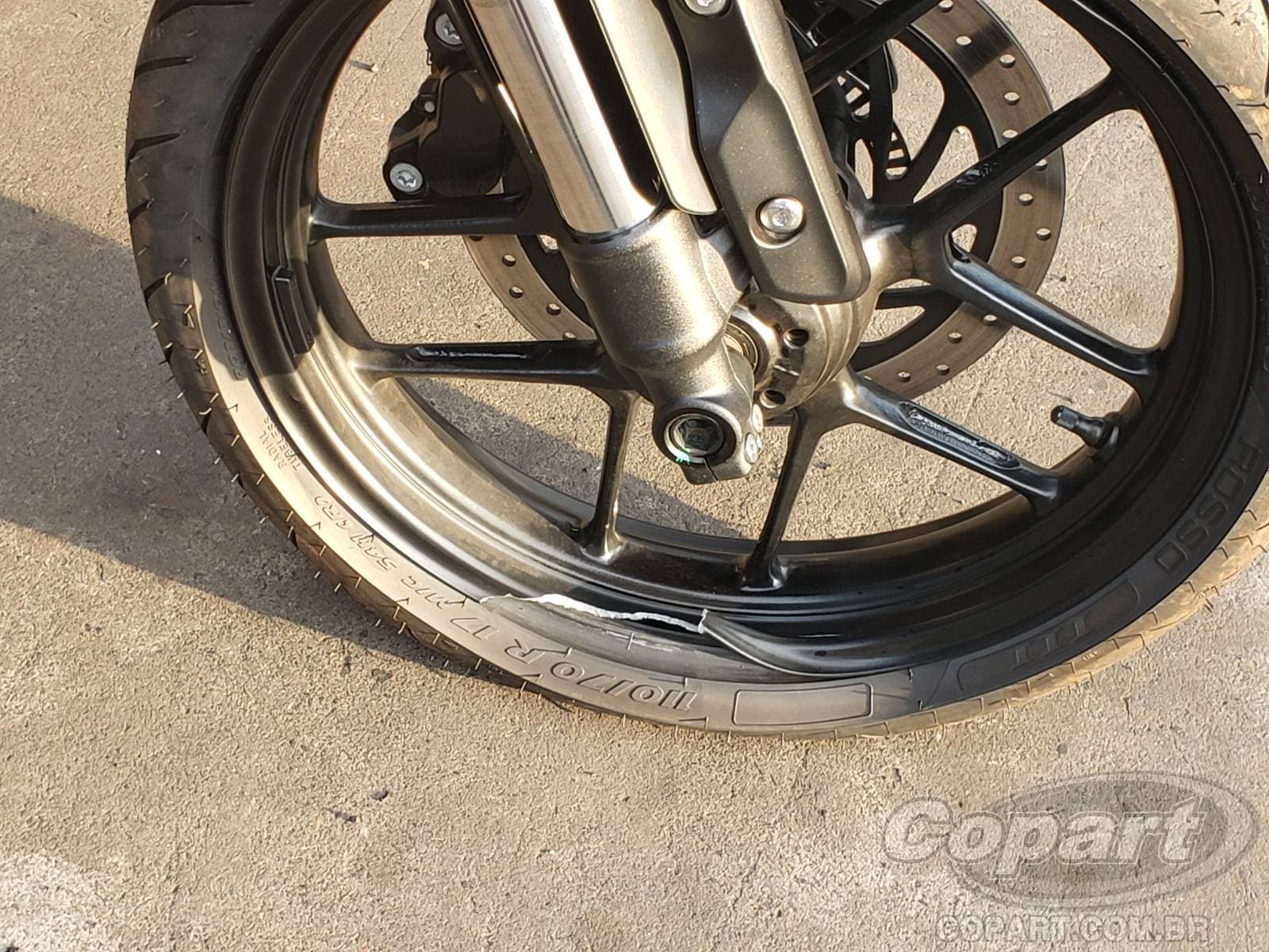 Triumph Speed 2026 — foto 13