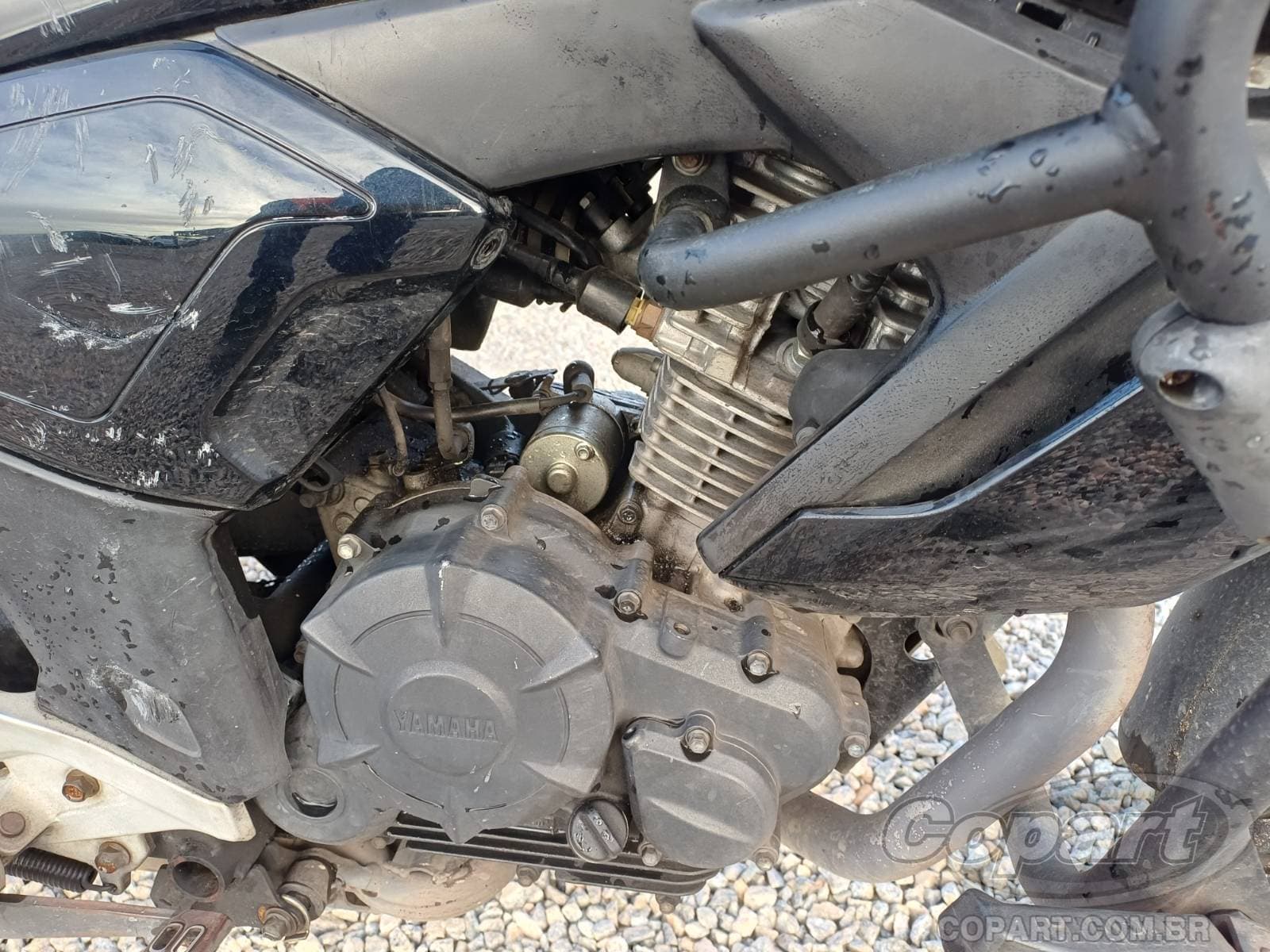 Yamaha Fz15 2023 — foto 5