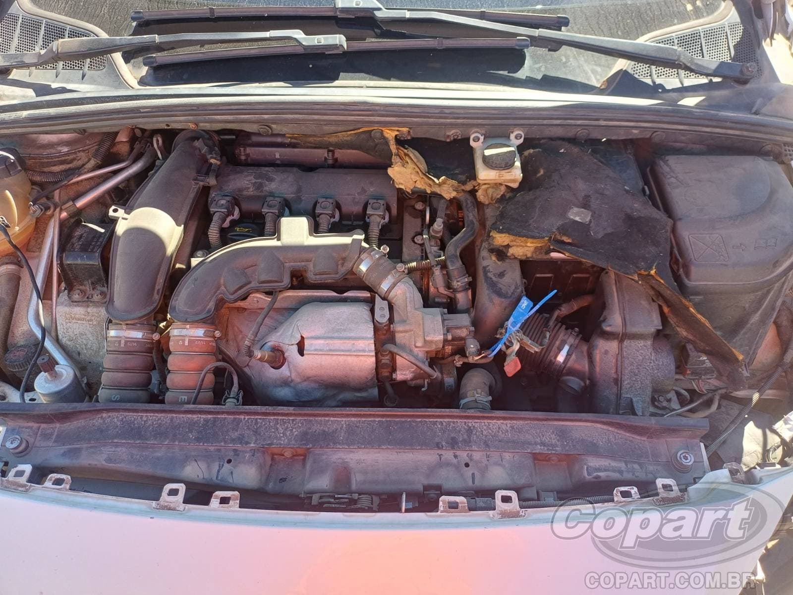 Peugeot 408 Sedan 2015 — foto 7