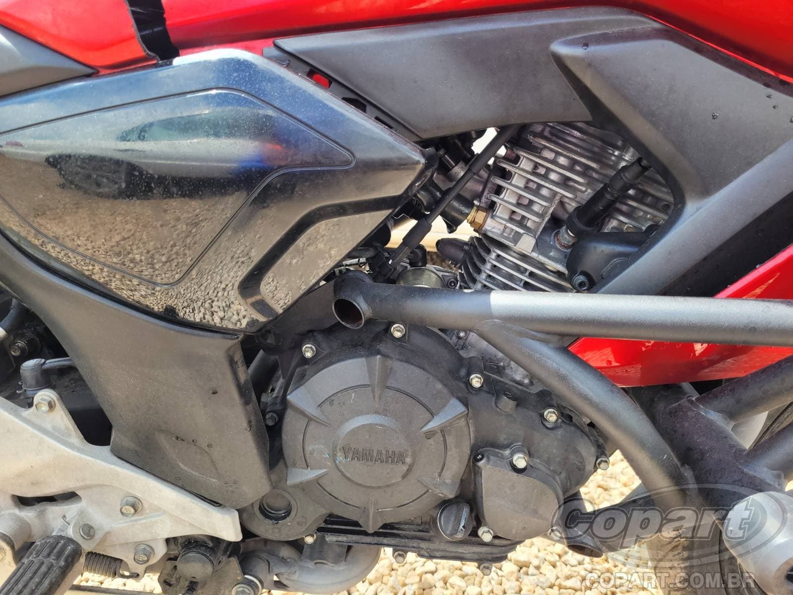 Yamaha Fz15 2024 — foto 5