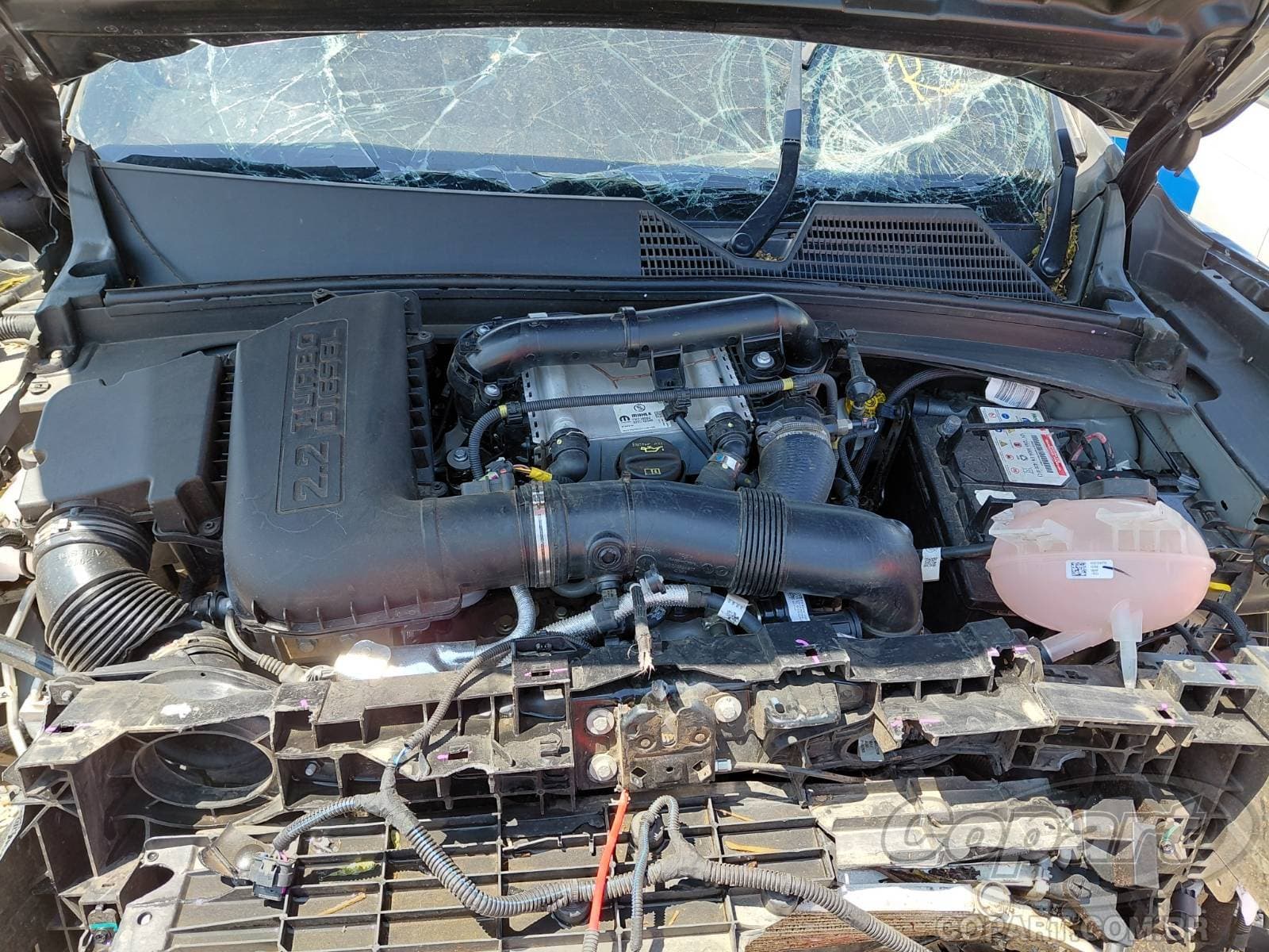 RAM Rampage 2026 — foto 7