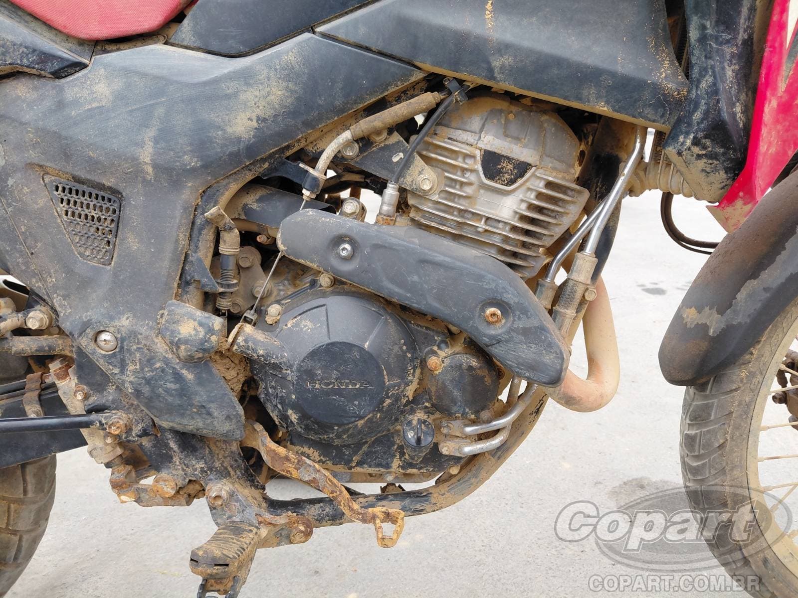Honda XRE Sahara 300 2024 — foto 5