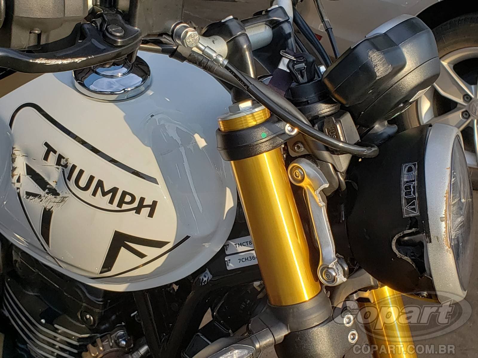 Triumph Speed 2026 — foto 14