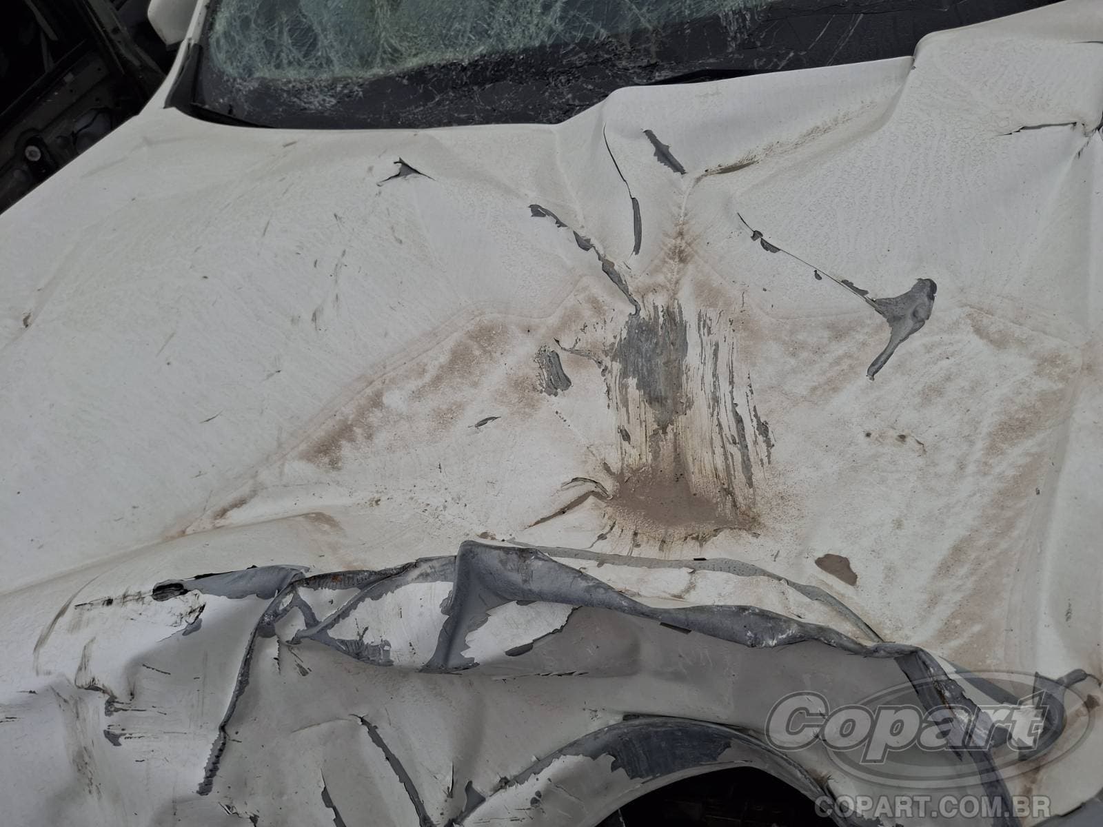 GWM Haval H6 2025 — foto 15