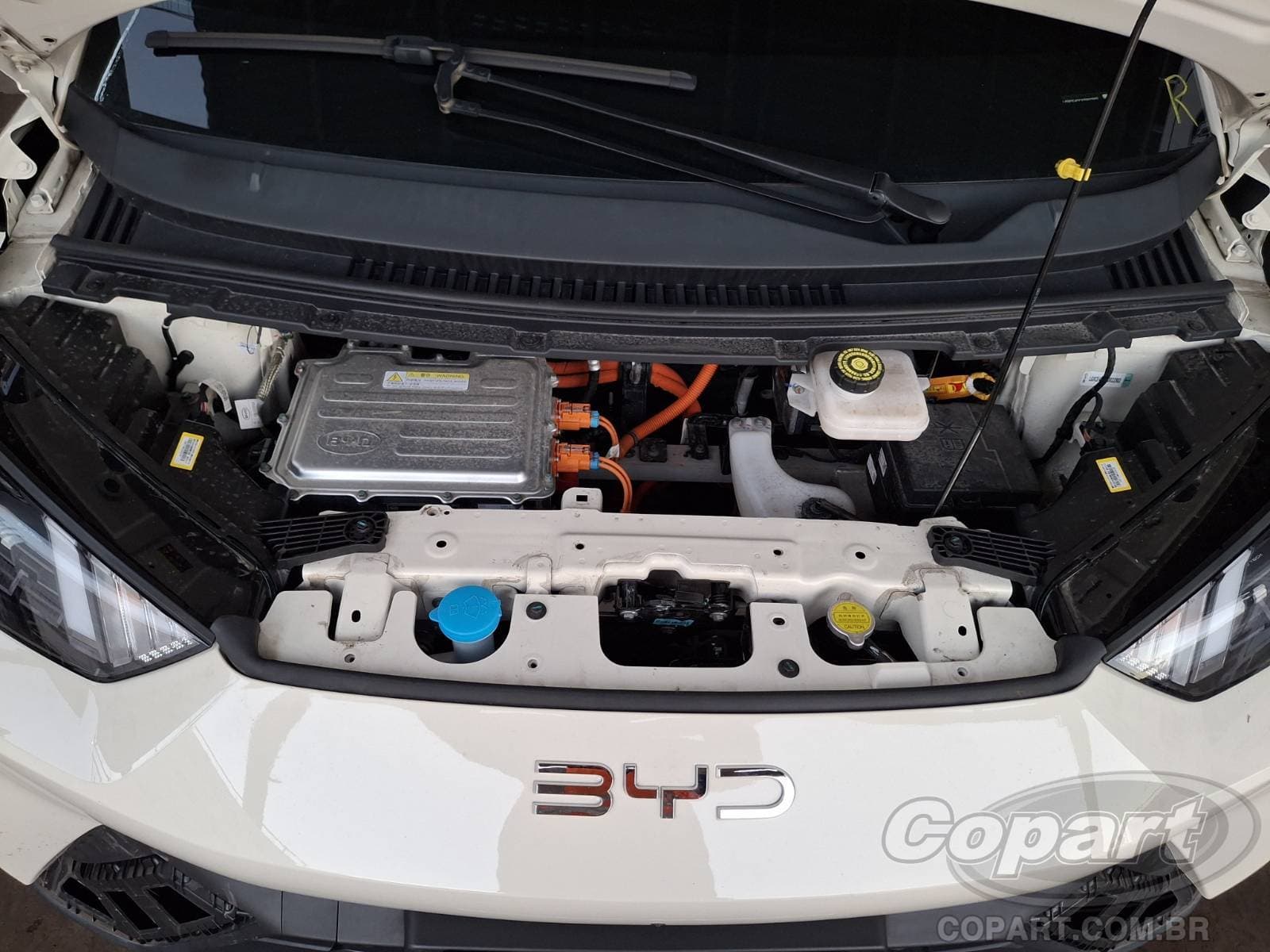 BYD Dolphin Mini 2026 — foto 7