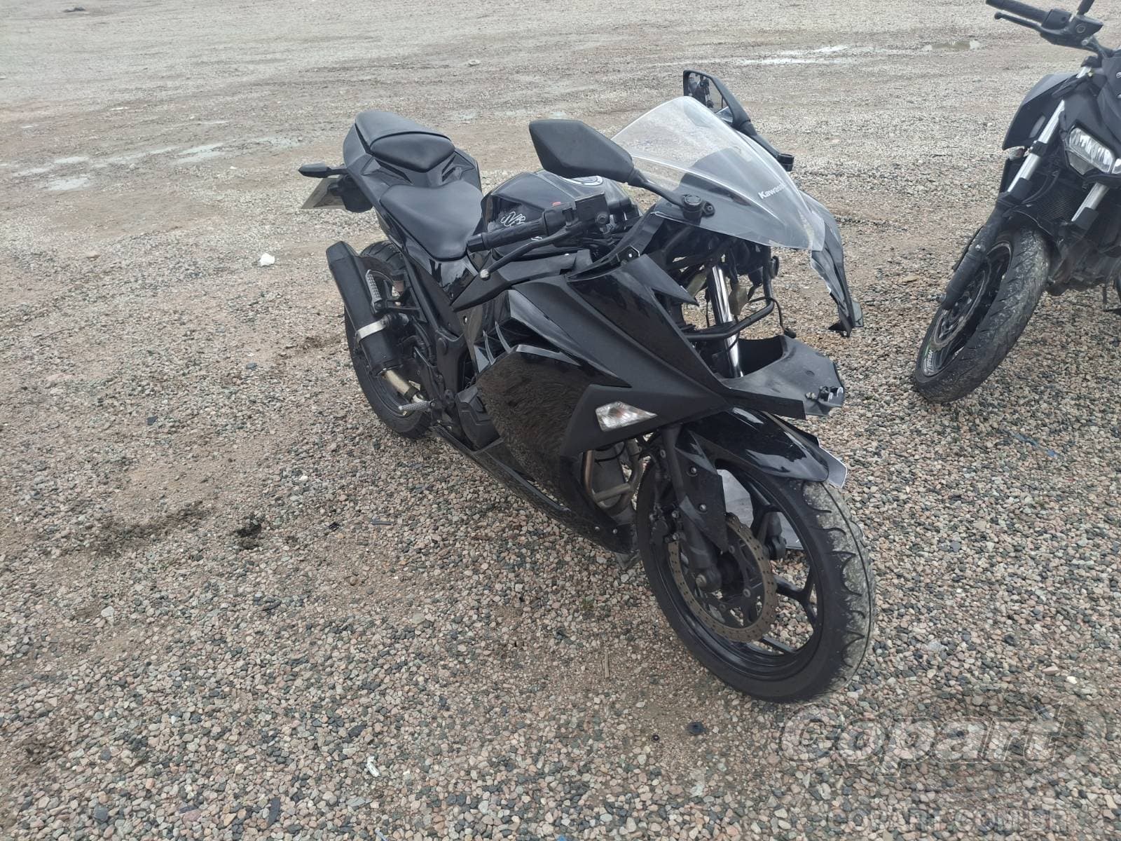 Kawasaki Ninja 300 2013