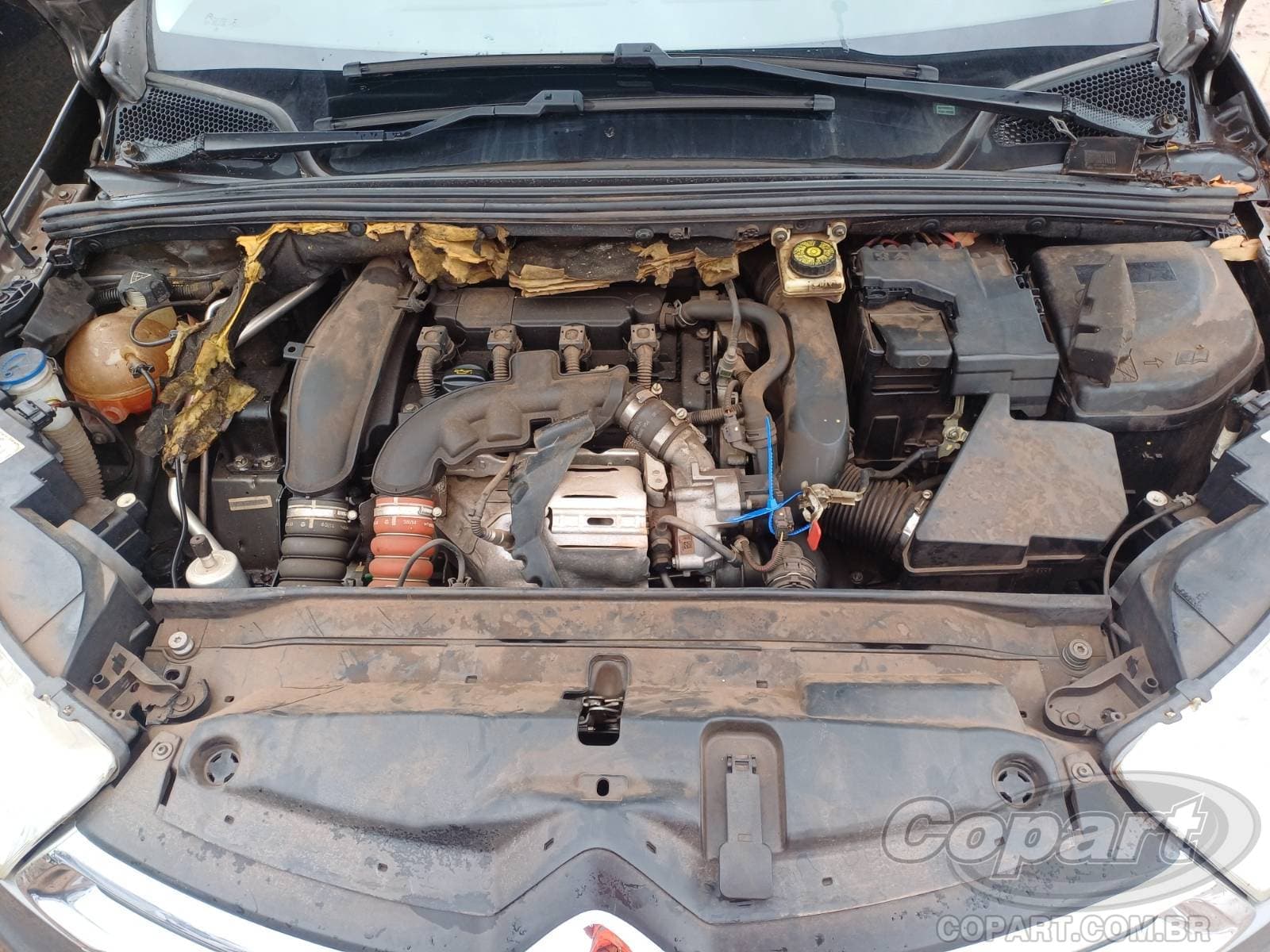 Citroën C4 Lounge 2015 — foto 7