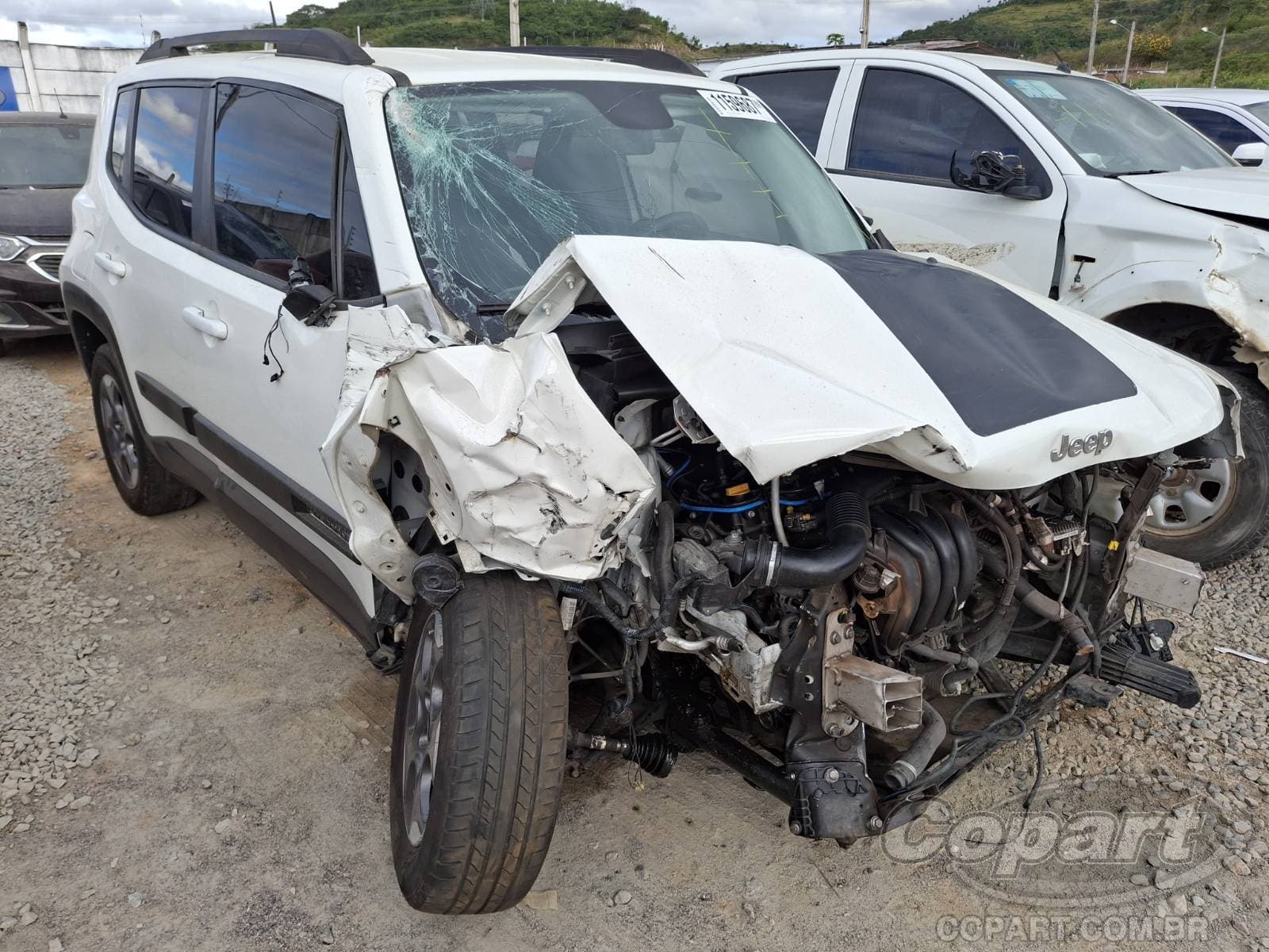 Jeep Renegade 1.8 16V E.TORQ EVO 2018