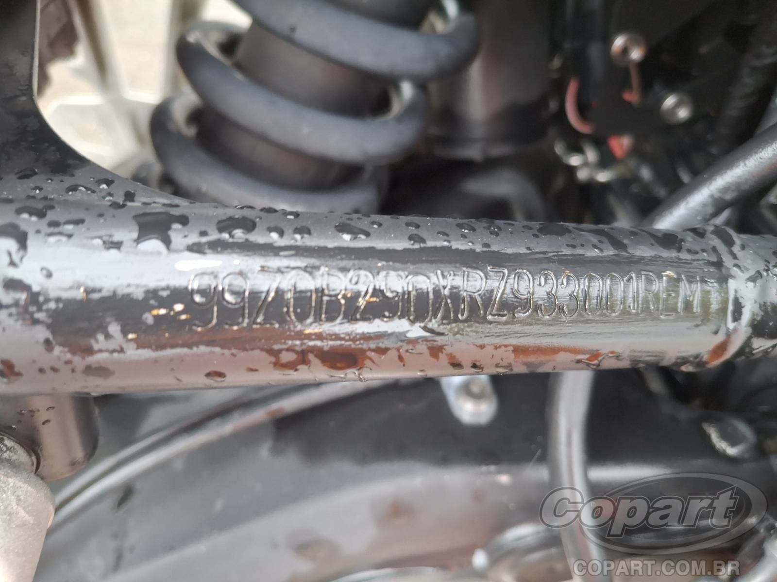 BMW F 850 2024 — foto 11