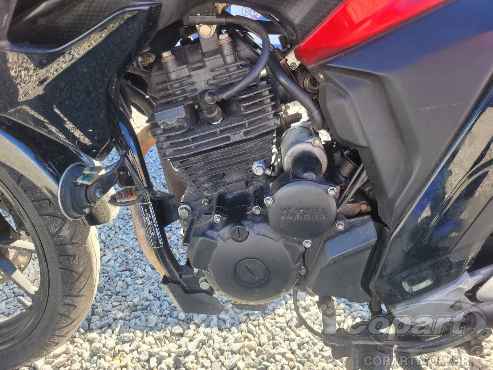 Yamaha Fz25 Fazer 2024 — foto 6