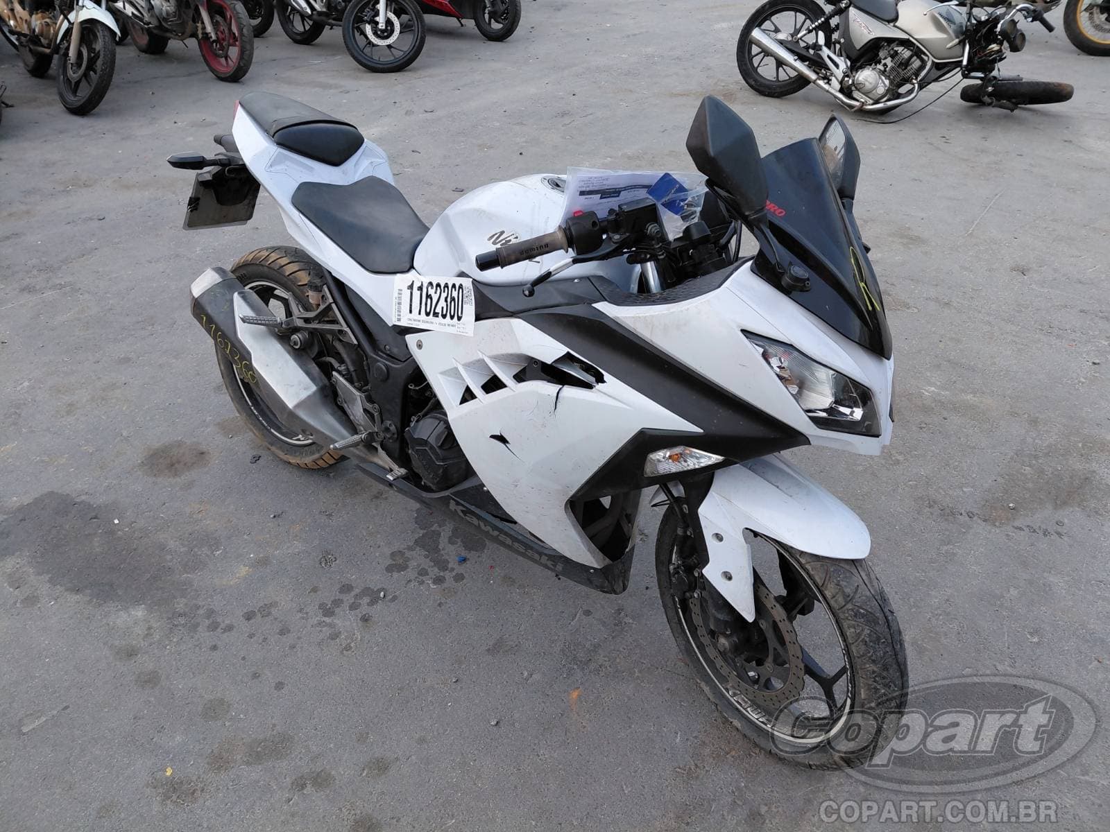 Kawasaki Ninja 300 2013