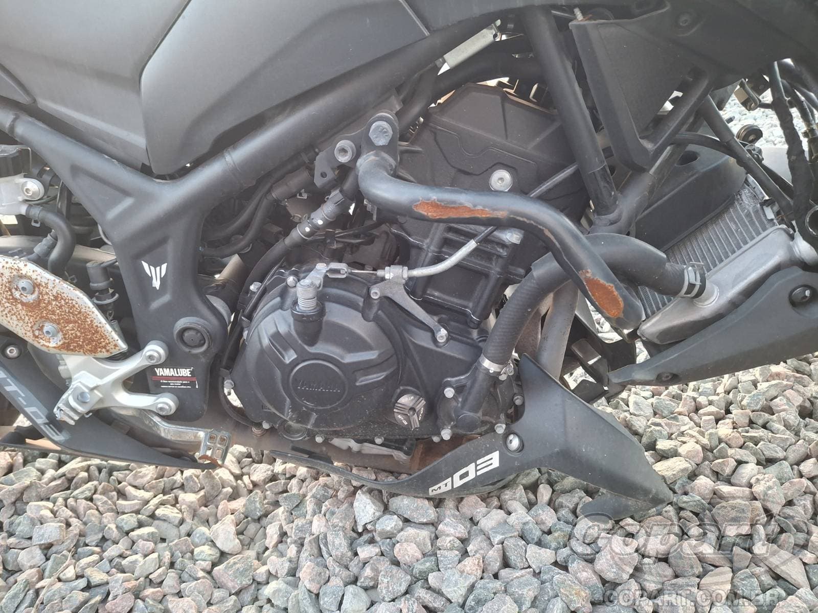 Yamaha Mt-03 2024 — foto 5