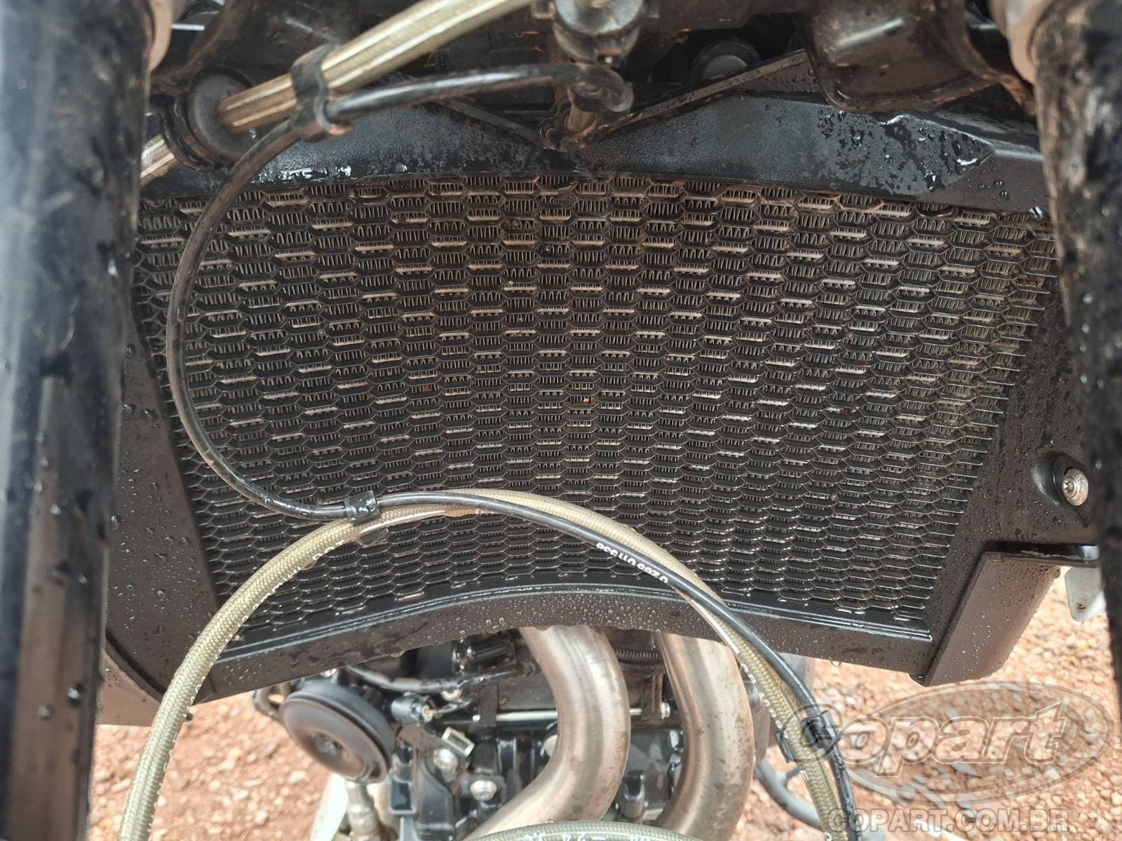 BMW F 900 2025 — foto 11