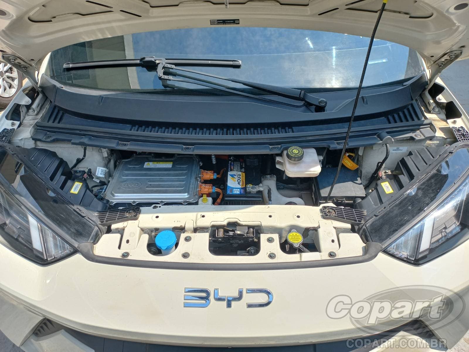 BYD Dolphin Mini 2025 — foto 7